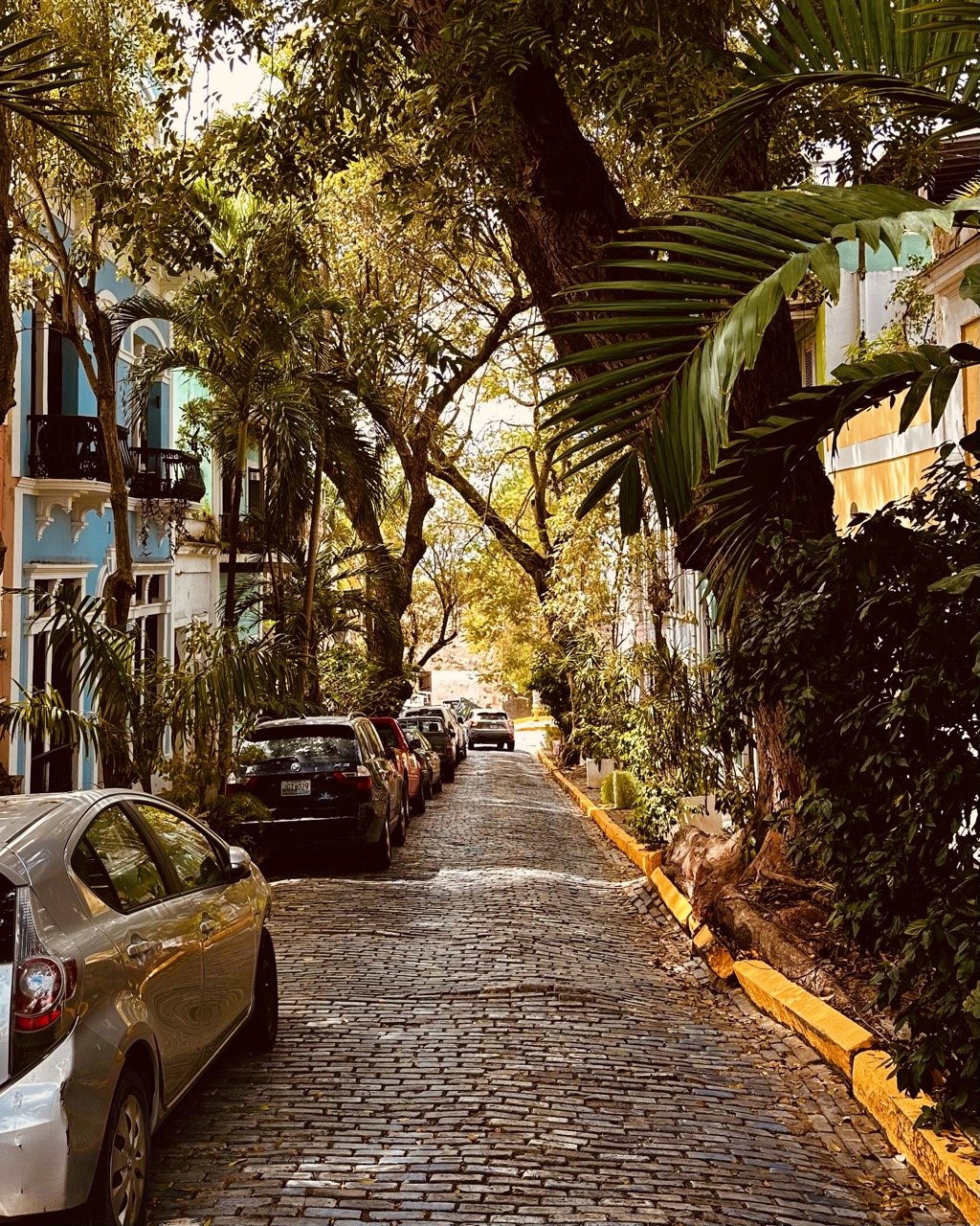 San Juan 7 Large.jpeg