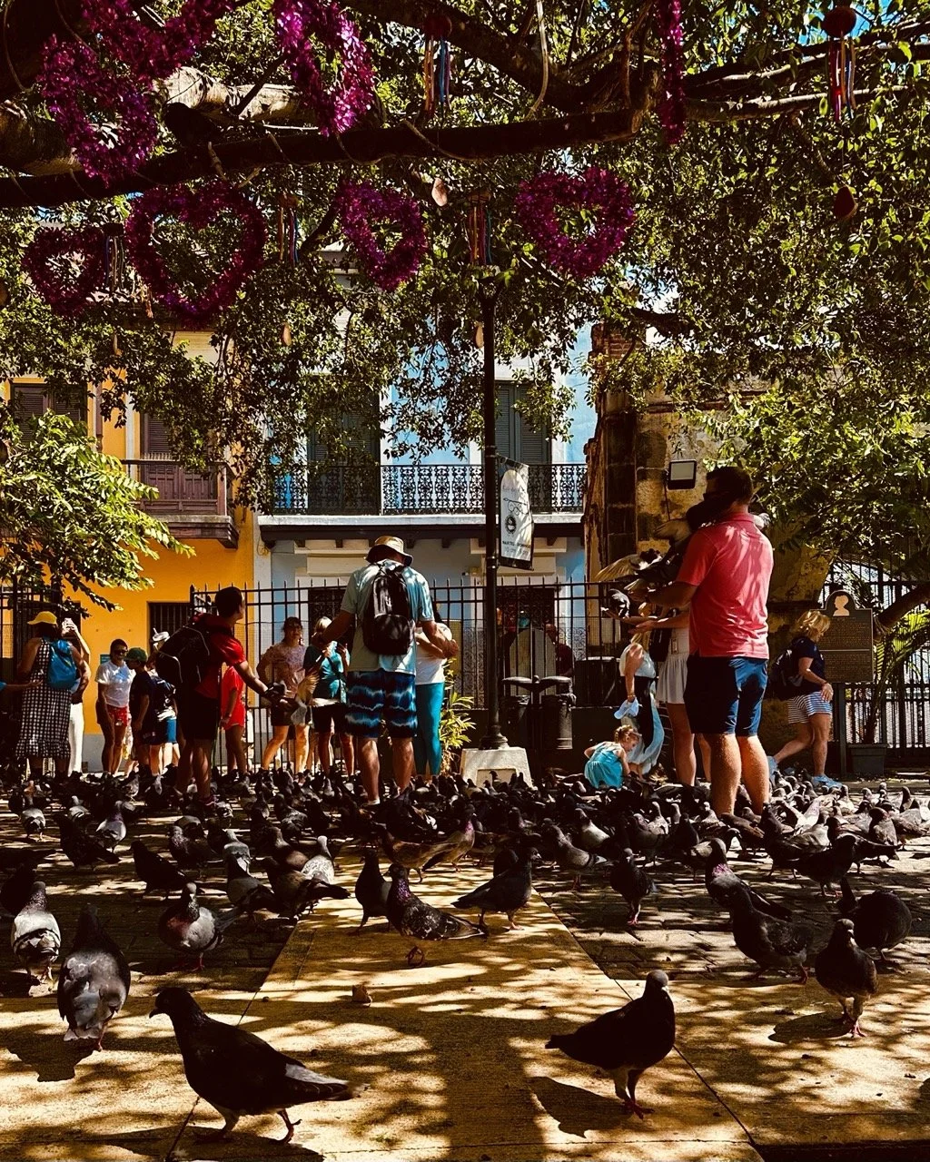 San Juan 12 Large.jpeg