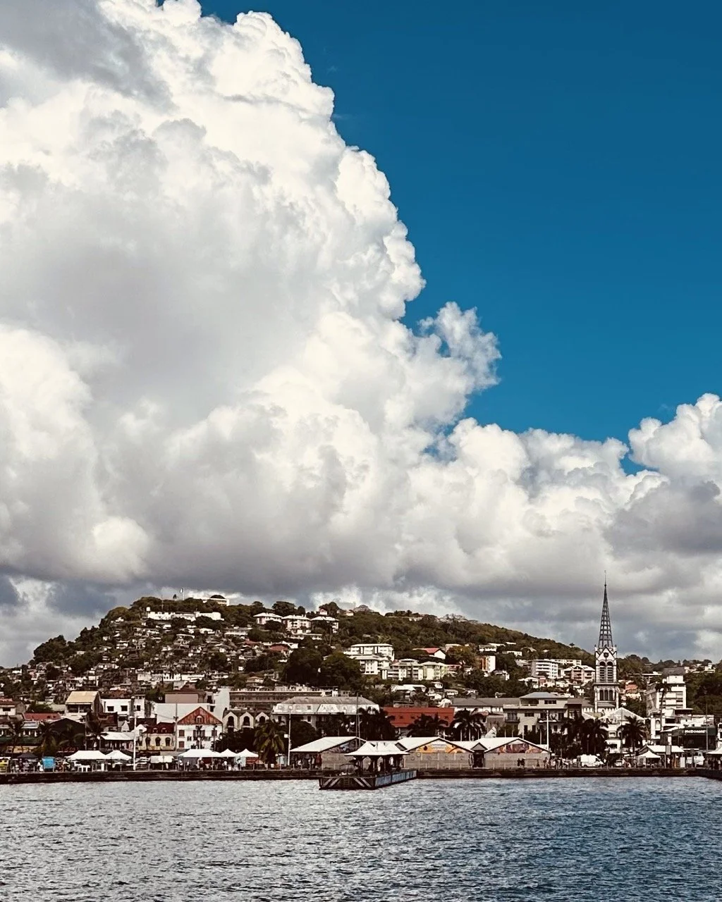 Martinique 1.jpeg