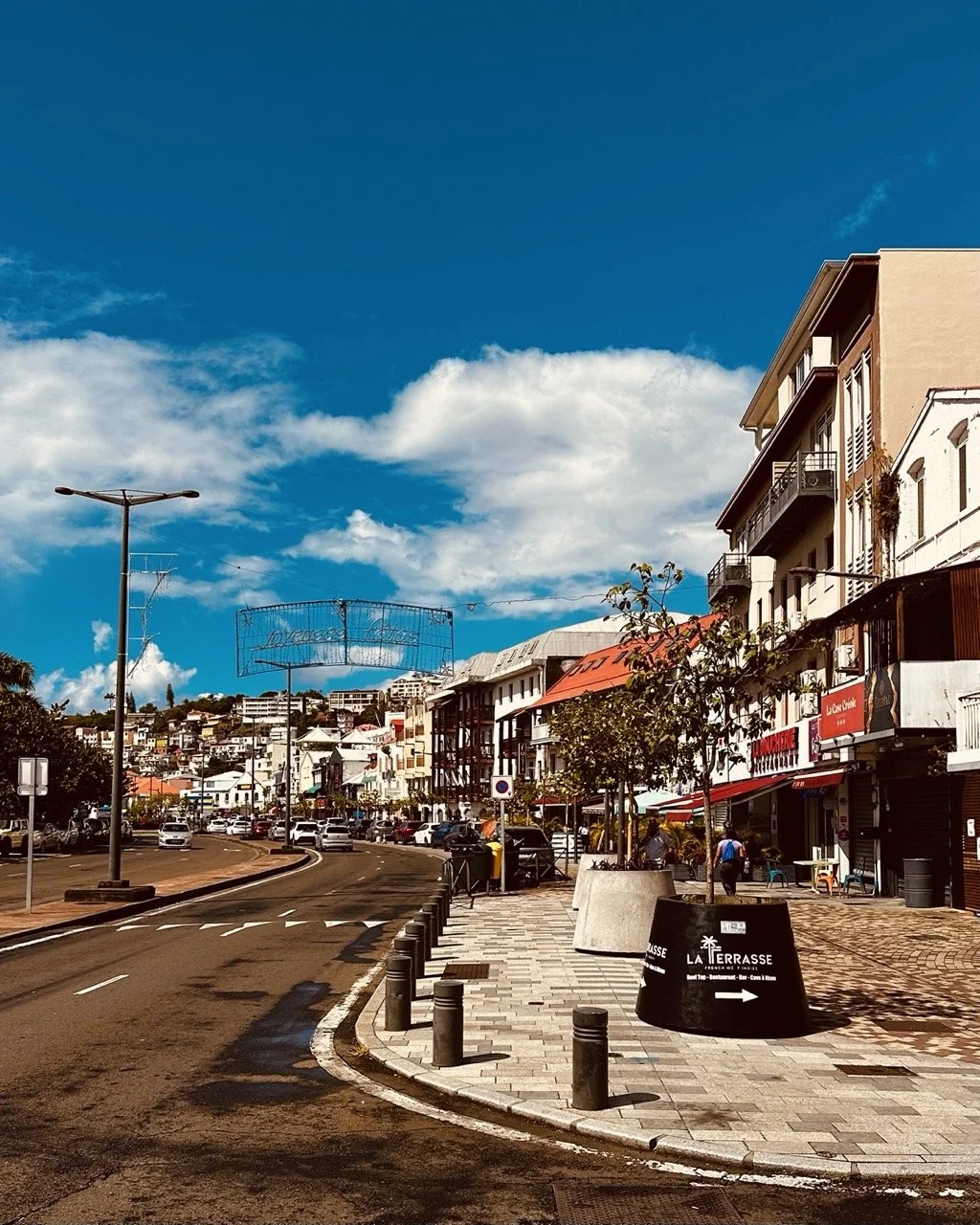 Martinique 3.jpeg