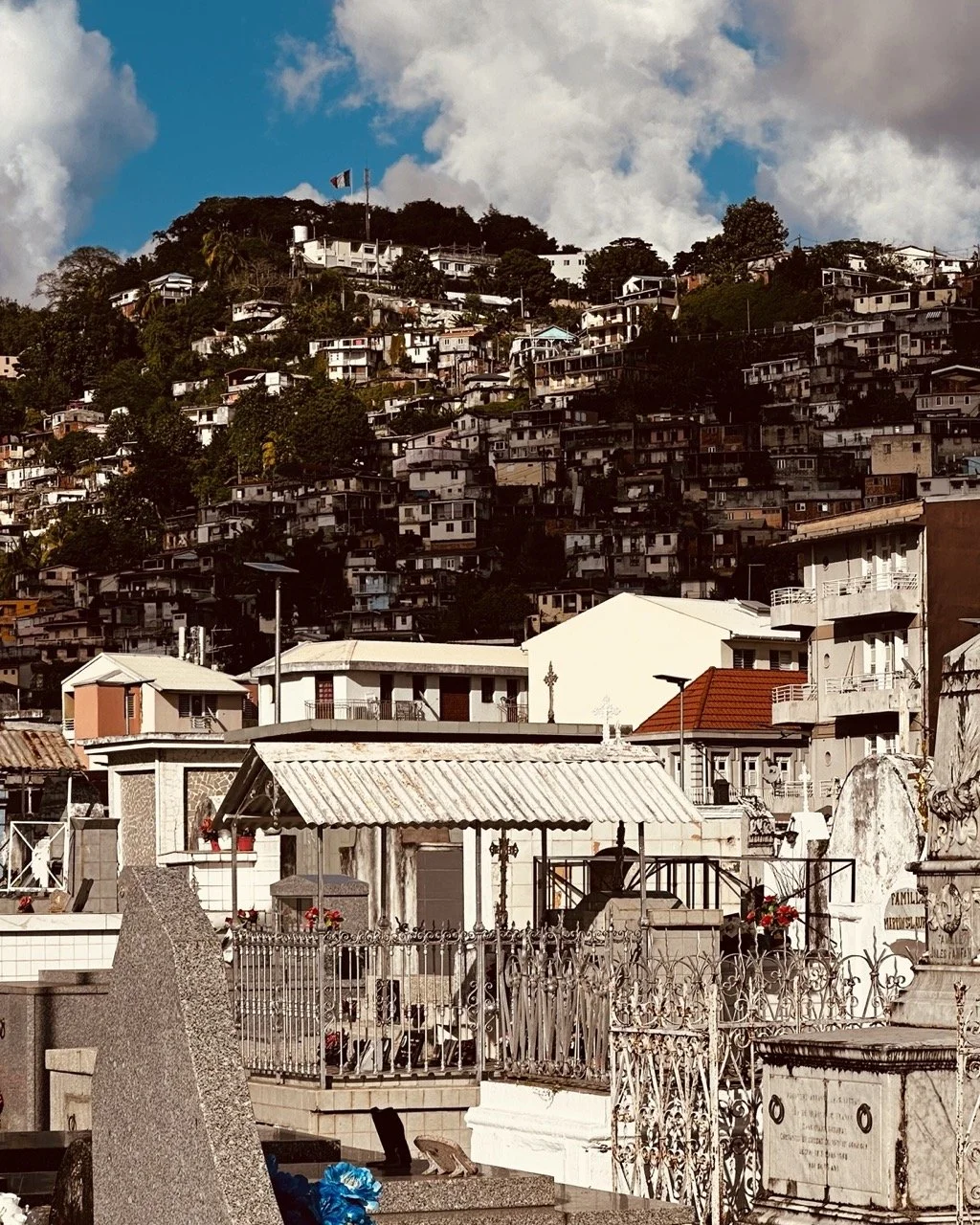 Martinique 9.jpeg