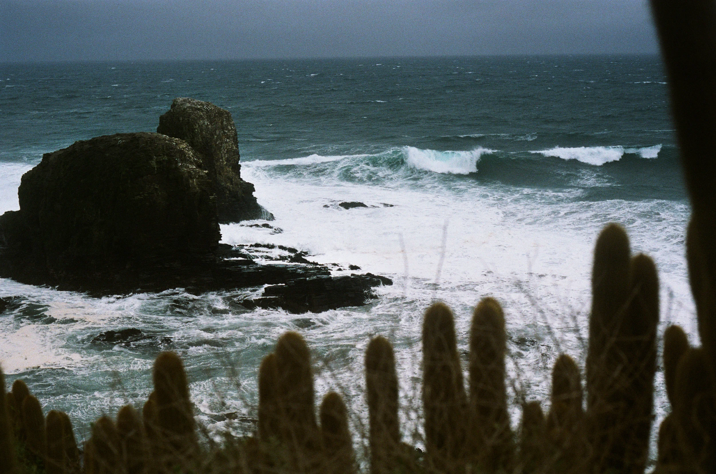 GIANT_WAVE.jpg