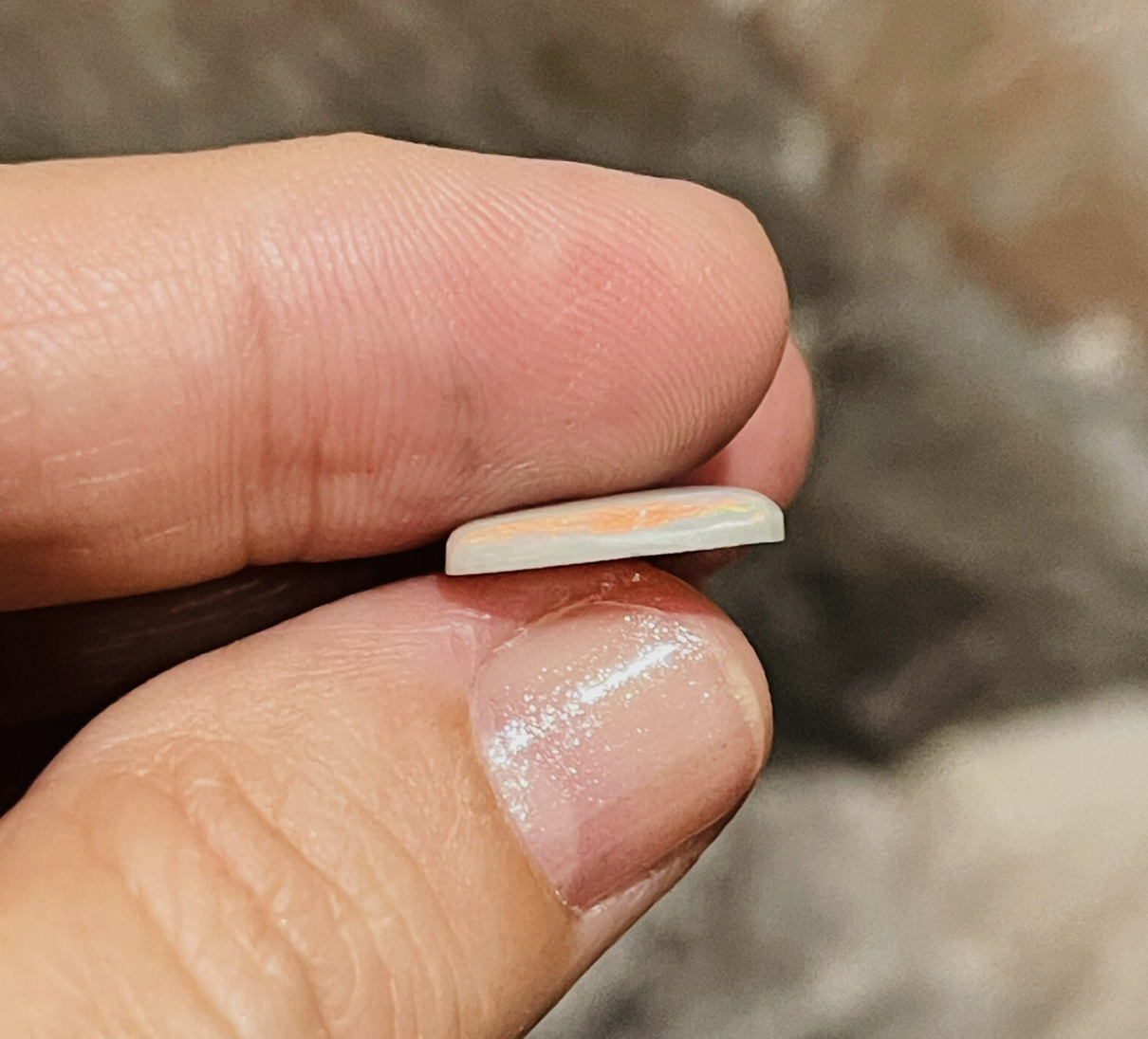 Screen Shot 2026-03-24 at 12.51.57 PM.png