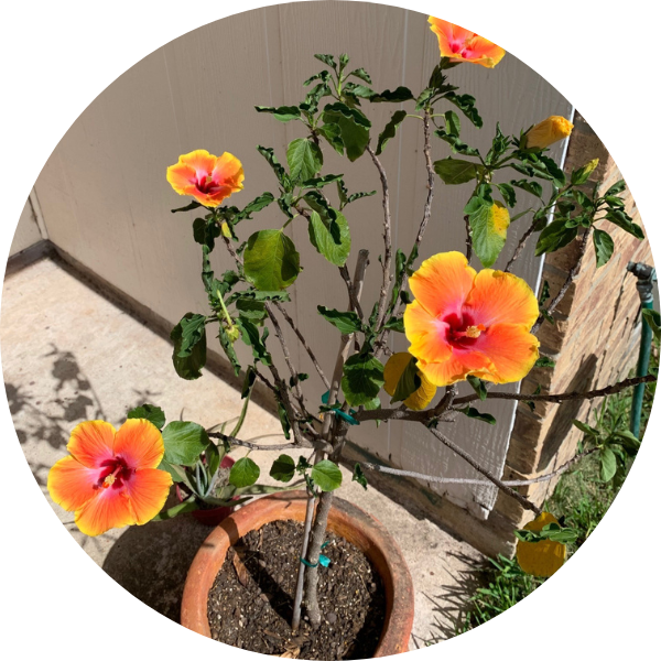 15 Fun Summer Bucket List Ideas