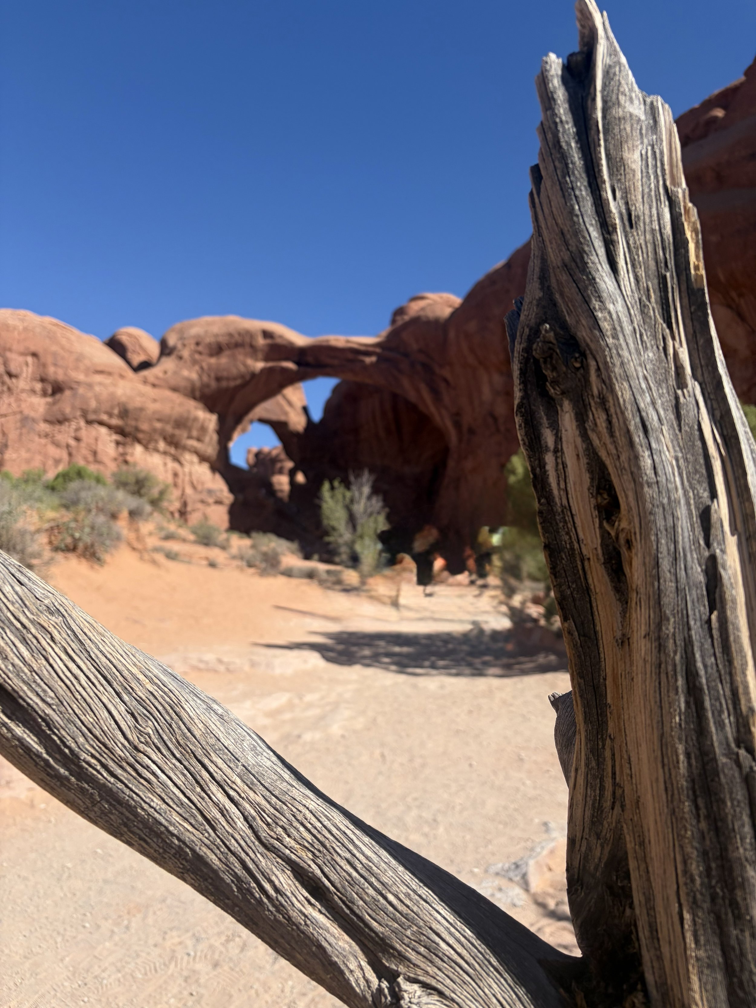 A Mighty Five things Utah had to teach me.