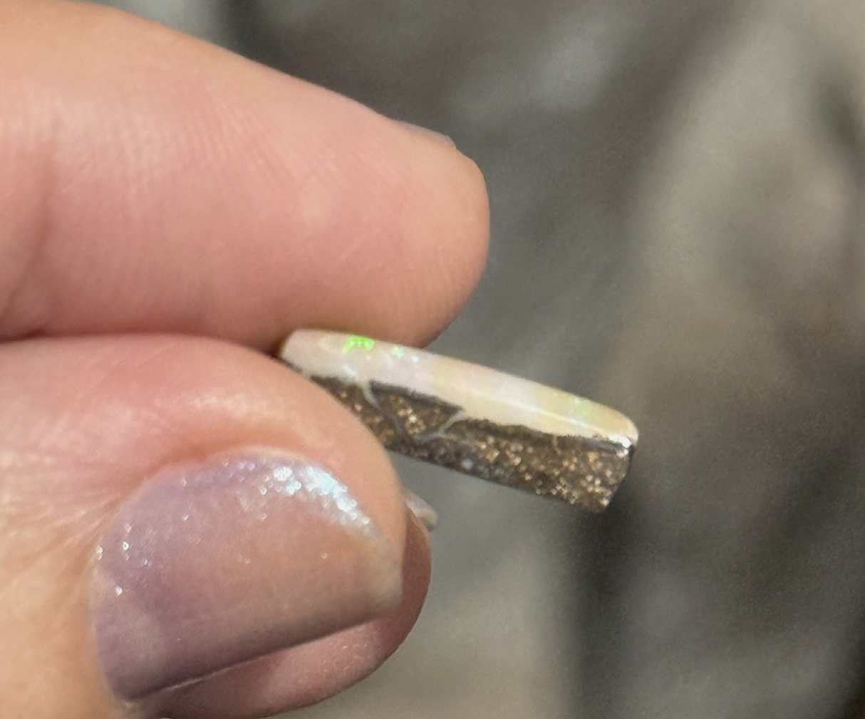 Screen Shot 2026-03-24 at 11.22.59 AM.png