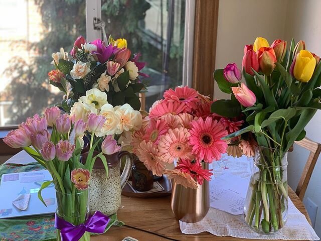 Social Distance Diary: Scenes from a socially distanced birthday, part one. Riotous blooming, coffee with cupcakes, and saying hello to my birthday twin and family. #socialdistancediary