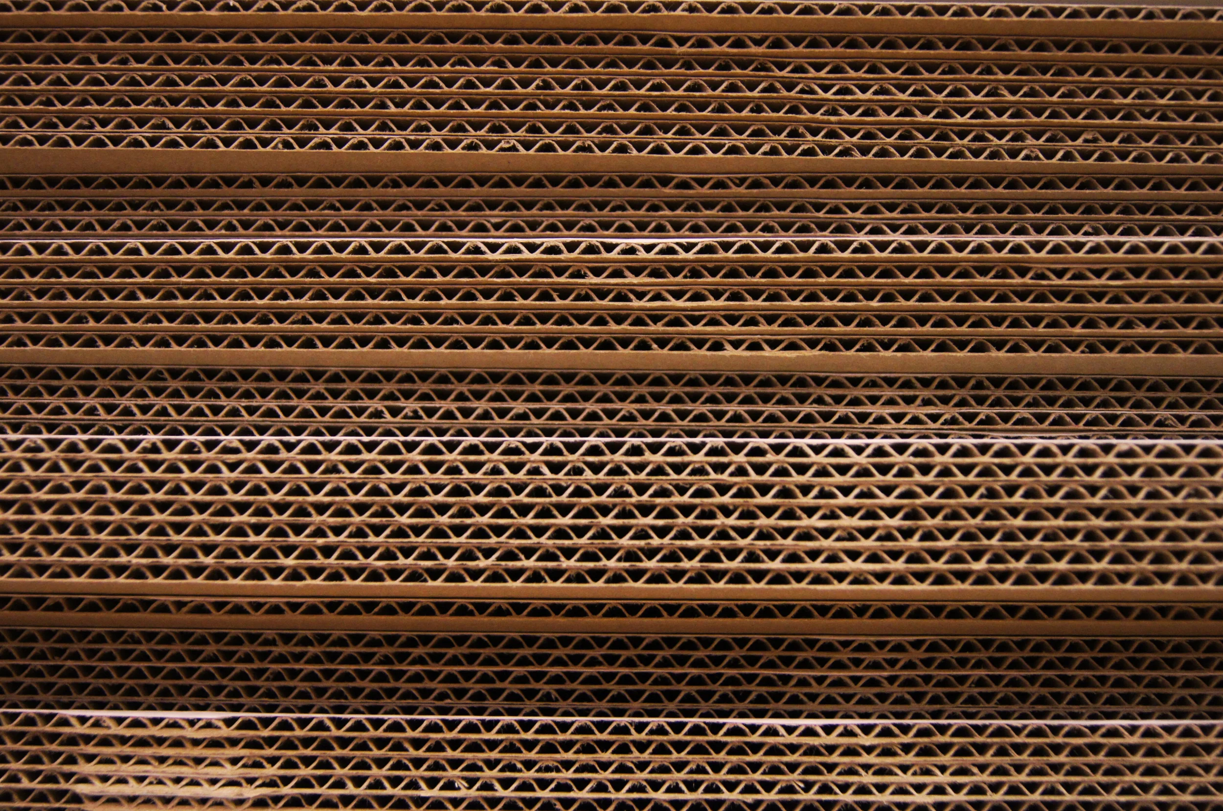 The highest throughput with Esko Kongsberg XP