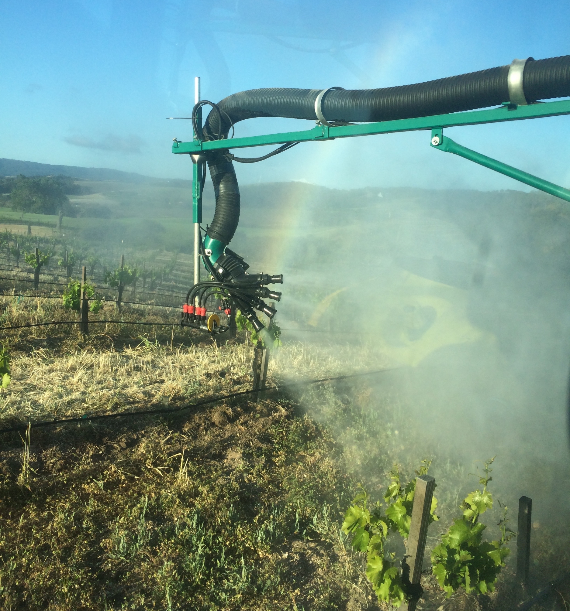 Spraying compost tea directly onto our vines.