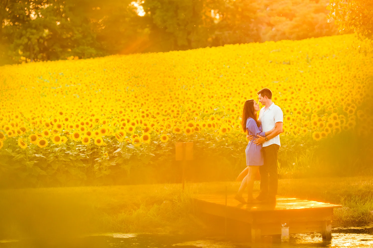 sunflower_enagagement_1500_shoot.jpg