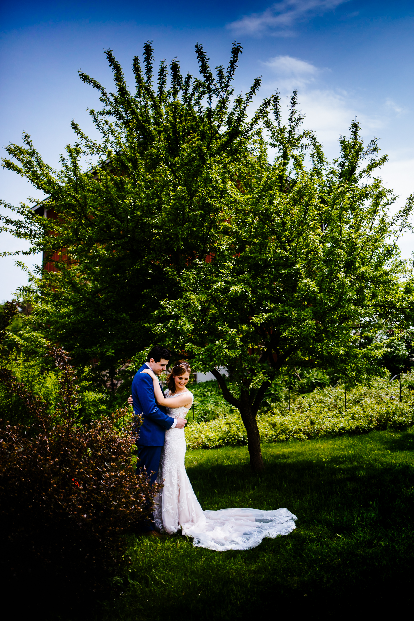 Ithaca NY wedding photography, Ithaca NY wedding photos, Ithaca NY wedding photographer, photographer in Ithaca NY, Treman Center wedding photography, treman center wedding photos, treman center, treman center wedding photographer, wedding at the treman center, treman center ithaca ny, barn wedding, outdoor wedding, summer wedding, outdoorsy wedding, pet friendly wedding, diy wedding, wedding inspo, portraits, couple portraits, bride and groom portraits, wedding portraits