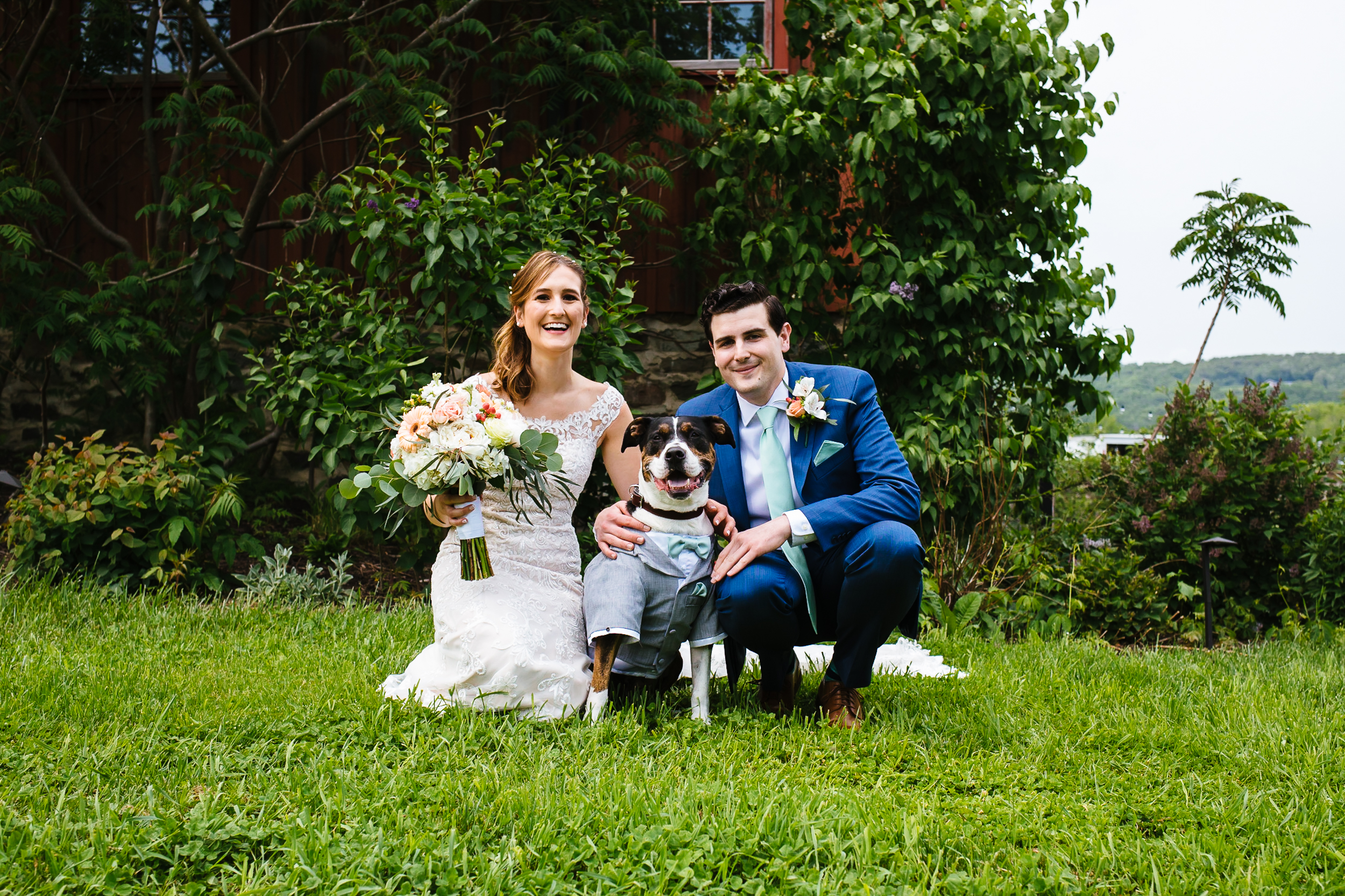 Ithaca NY wedding photography, Ithaca NY wedding photos, Ithaca NY wedding photographer, photographer in Ithaca NY, Treman Center wedding photography, treman center wedding photos, treman center, treman center wedding photographer, wedding at the treman center, treman center ithaca ny, barn wedding, outdoor wedding, summer wedding, outdoorsy wedding, pet friendly wedding, diy wedding, wedding inspo, portraits, couple portraits, bride and groom portraits, wedding portraits