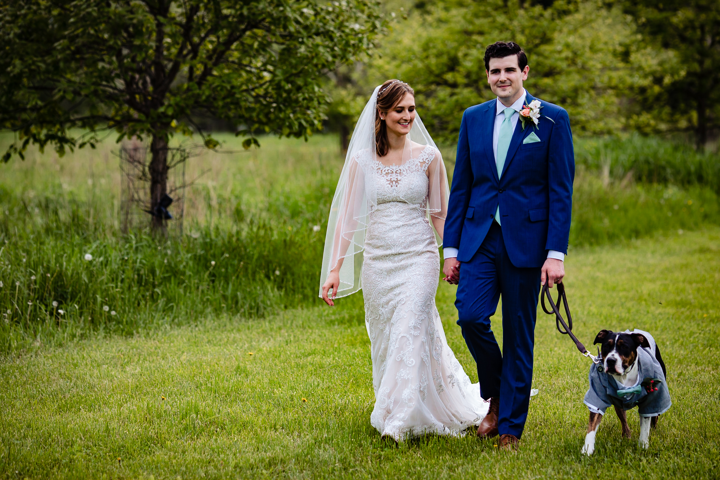 Ithaca NY wedding photography, Ithaca NY wedding photos, Ithaca NY wedding photographer, photographer in Ithaca NY, Treman Center wedding photography, treman center wedding photos, treman center, treman center wedding photographer, wedding at the treman center, treman center ithaca ny, barn wedding, outdoor wedding, summer wedding, outdoorsy wedding, pet friendly wedding, diy wedding, wedding inspo, bride and groom portraits, portraits, wedding portraits, wedding photos with dog