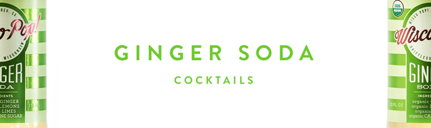 Ginger-Soda-Banner.jpg