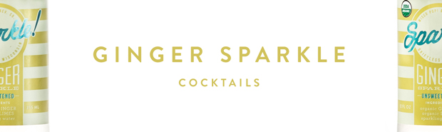Ginger-Sparkle-Banner.jpg