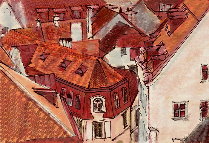 Rooftops copy.jpg