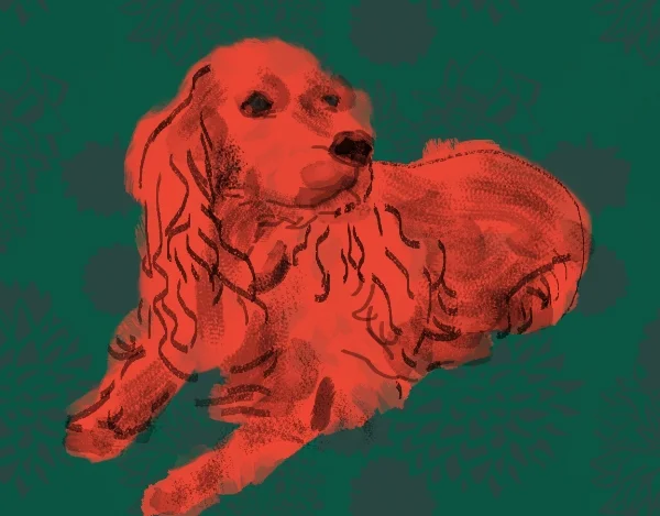 scooter.jpg