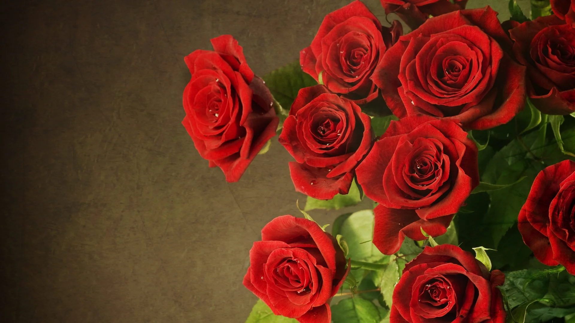 roses.jpg