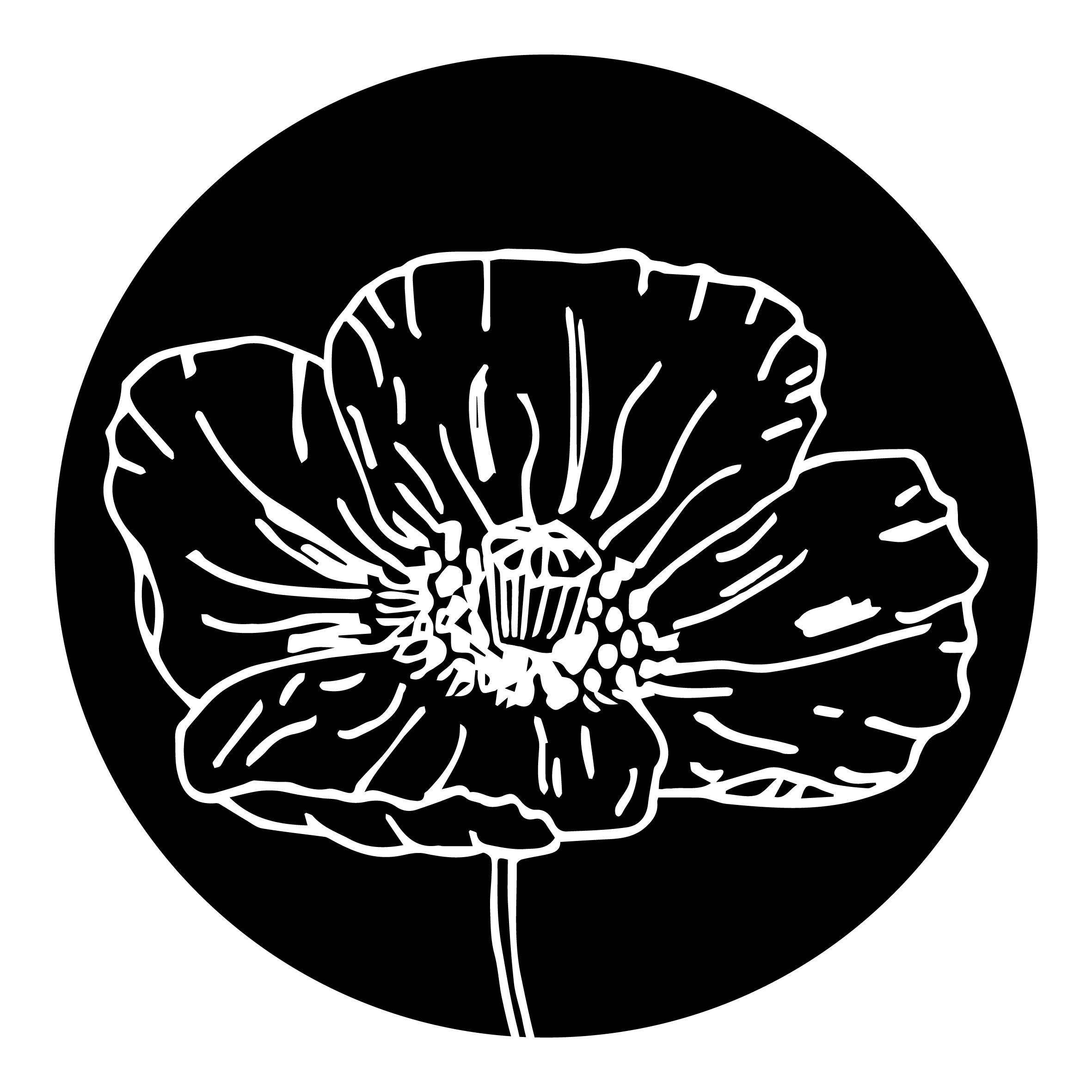 Poppy-01 copy.jpg