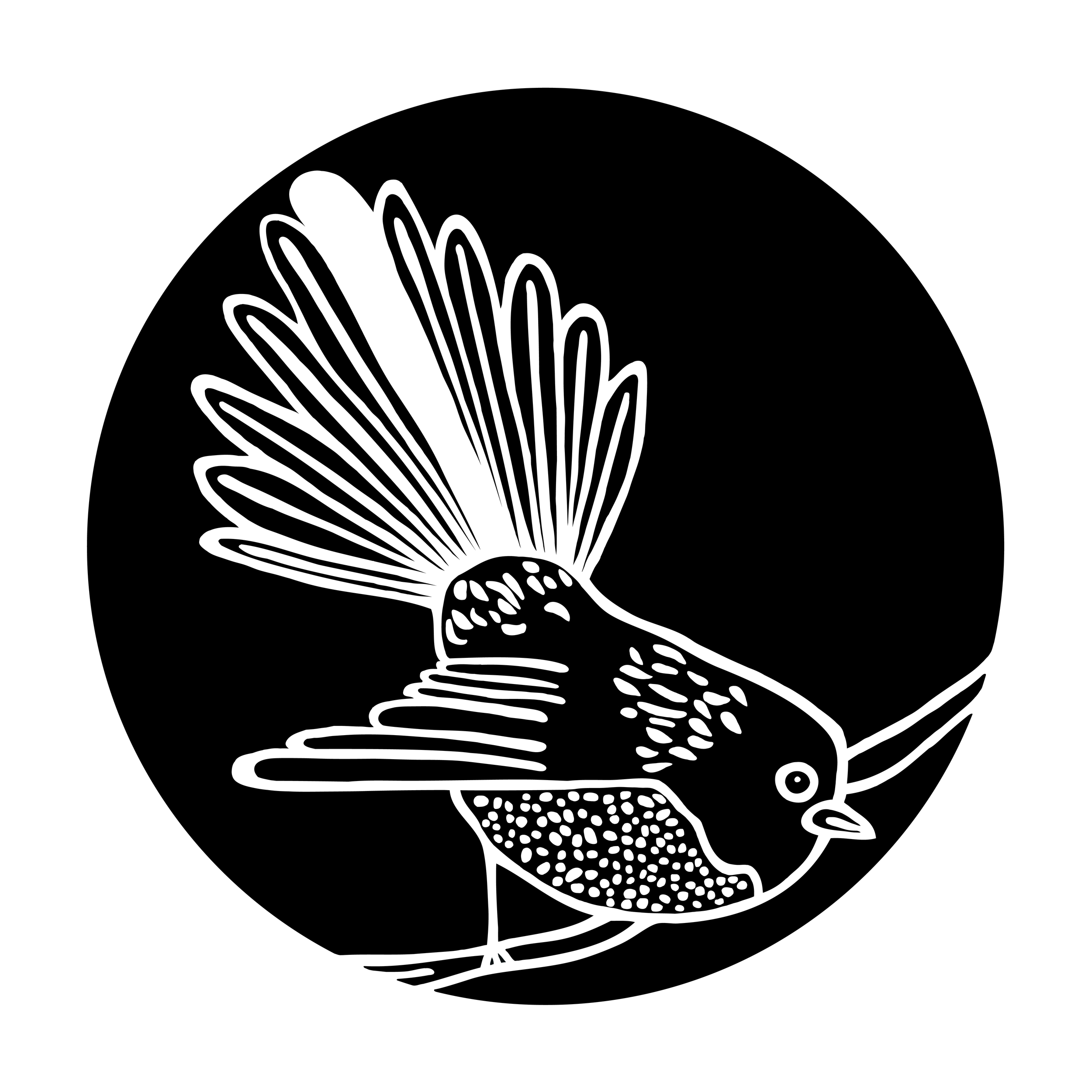 Fantail 50x50-01 copy.jpg