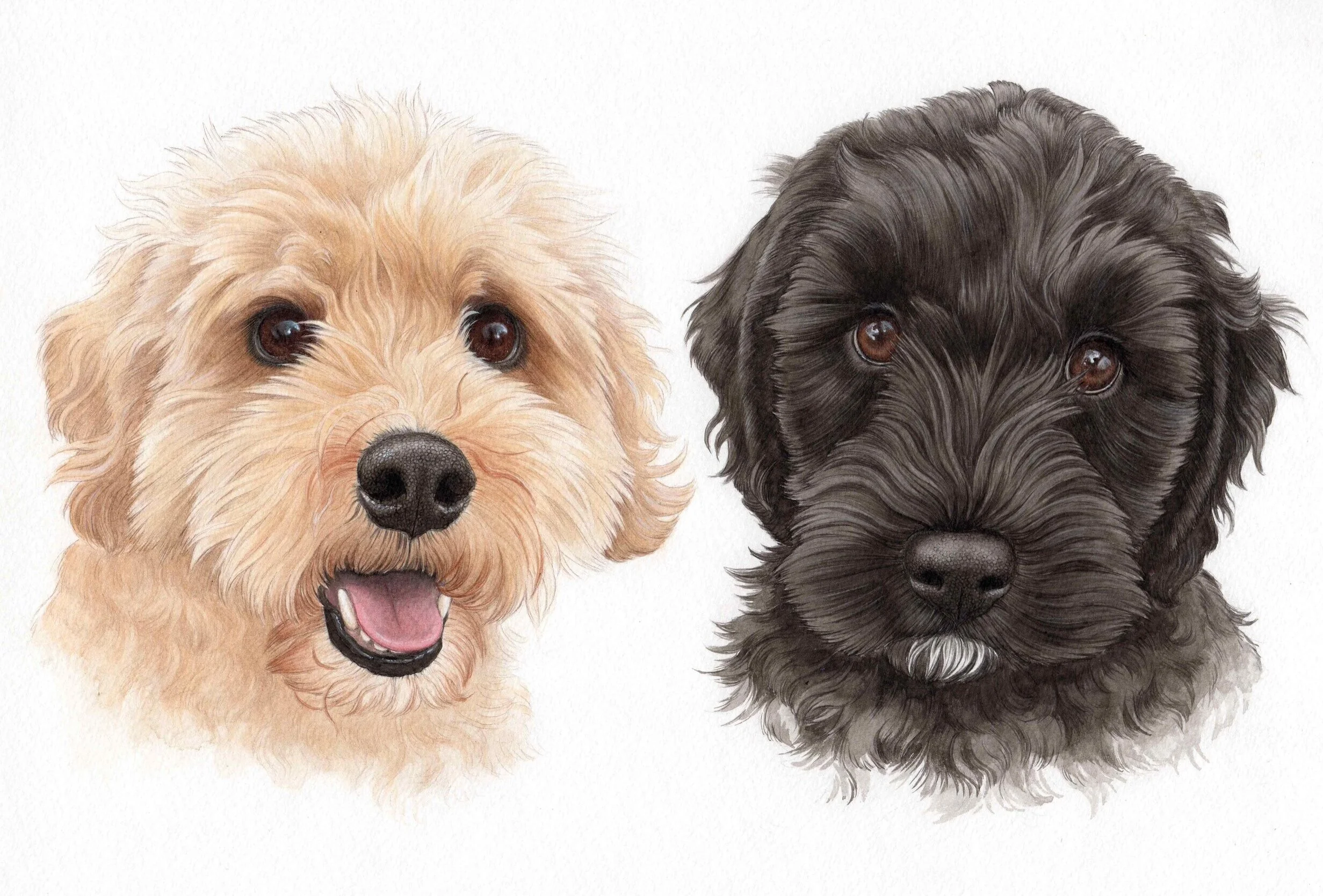 Cooper and Stanley