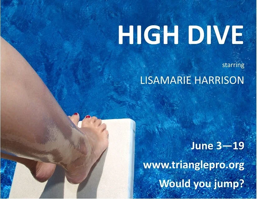 High Dive logo 2 small.jpg