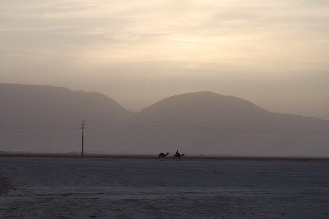 Wadi Rum caravan