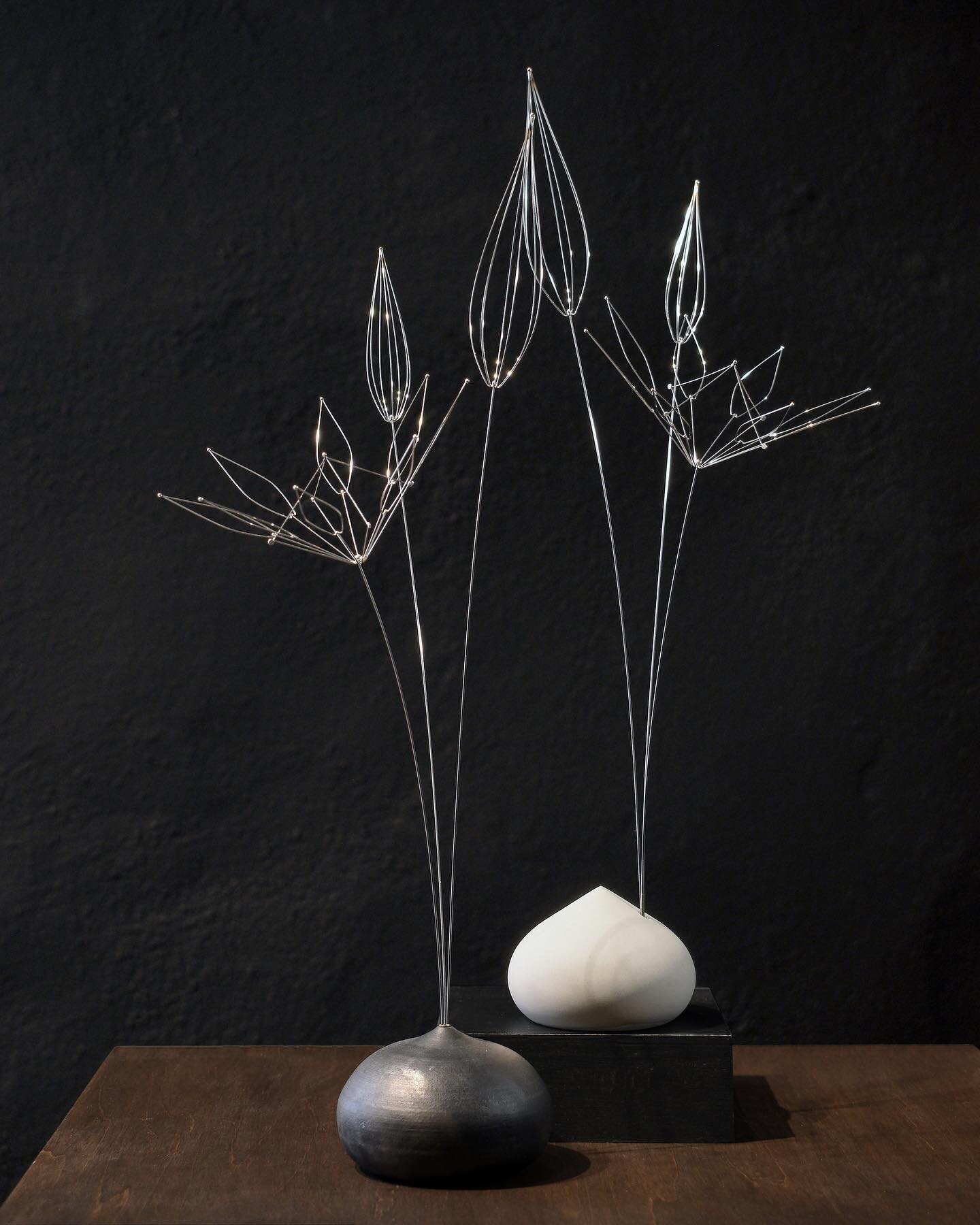 Just listed a couple more of these Arrangements in the online store. Forged, welded and highly polished stainless steel botanical forms in handmade ceramic vases.

The dark vase was saggar-fired and has a variegated black and gray surface with a few 