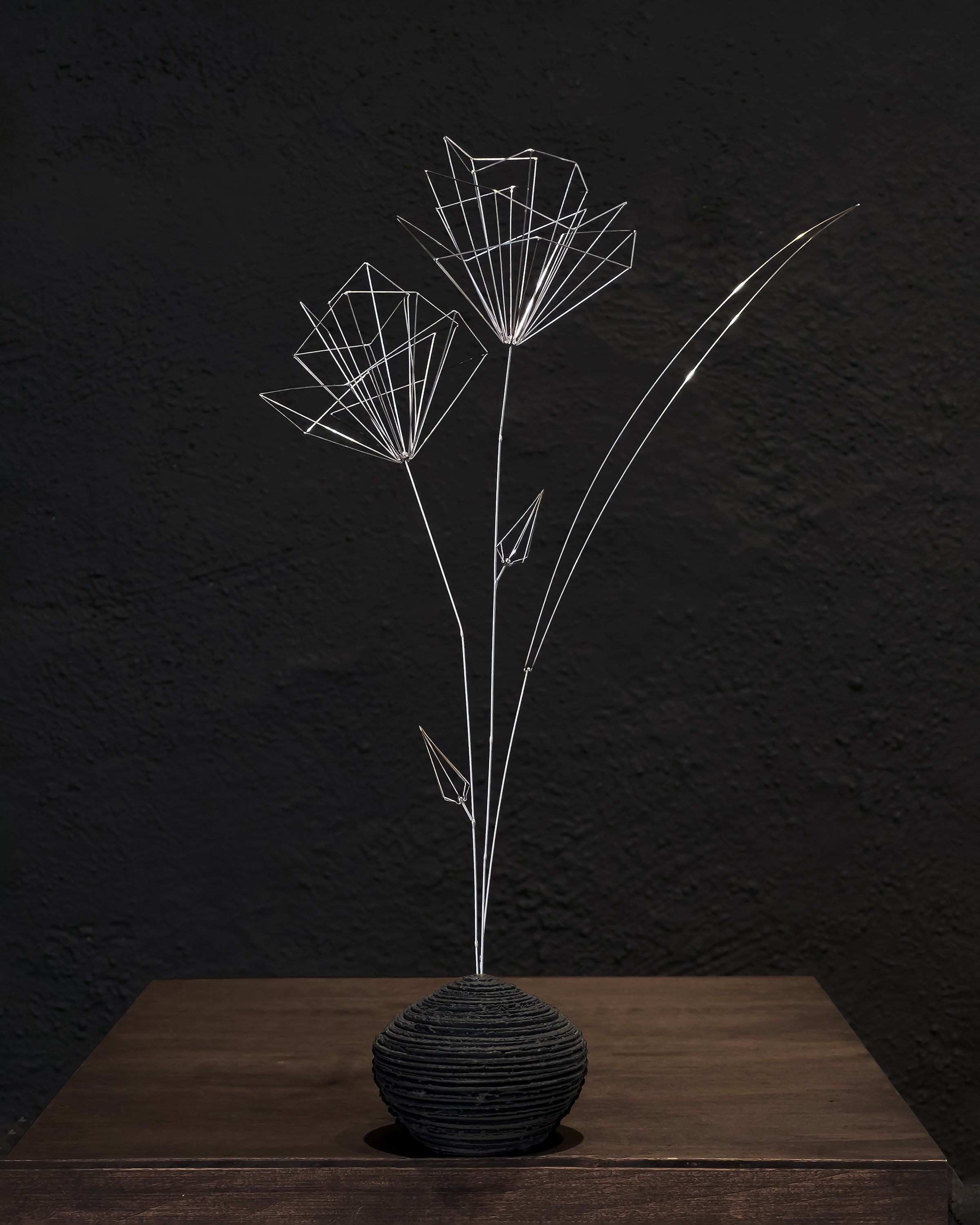 The Architects Roses 2.jpg