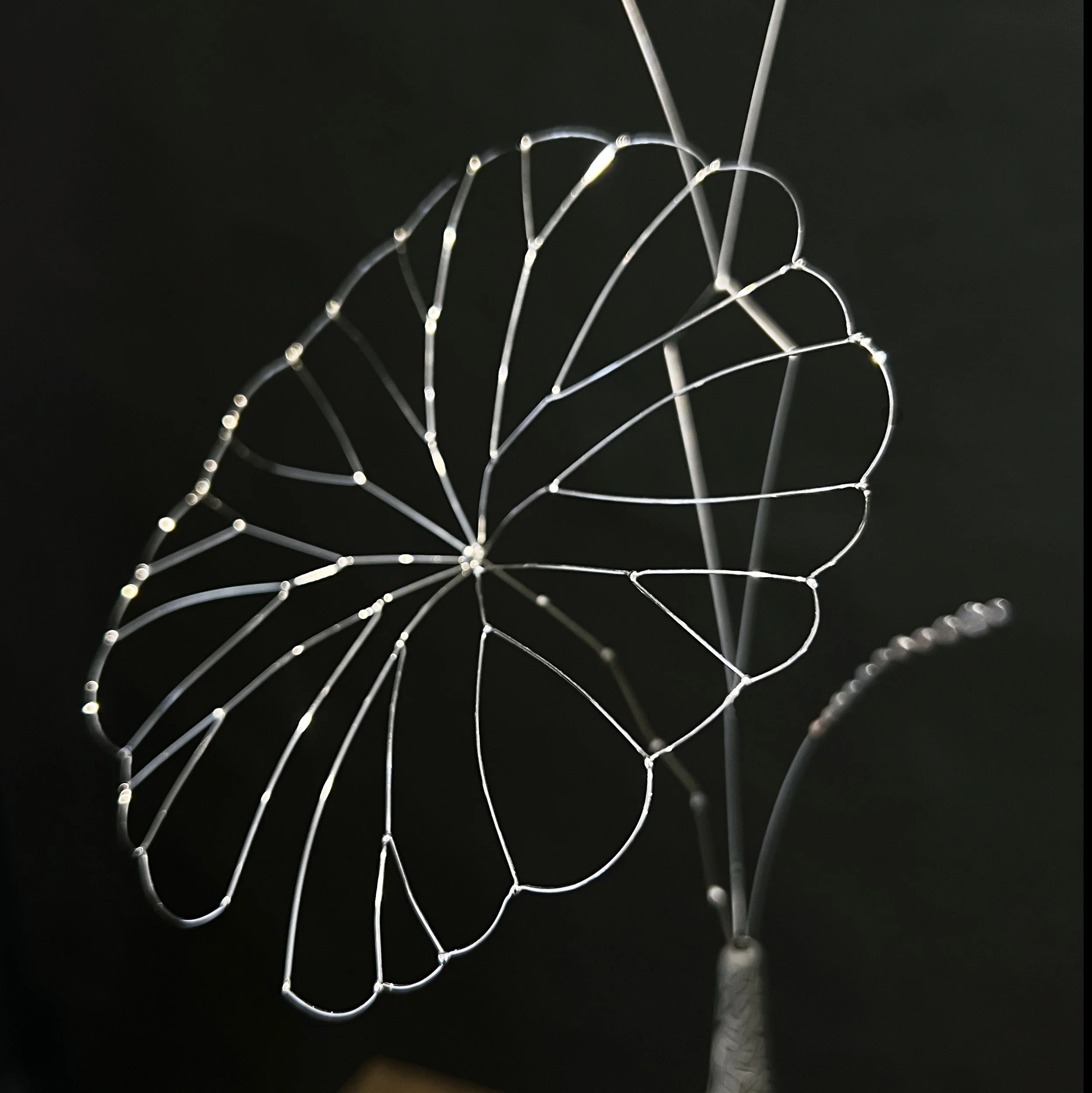 arrangement iv detail 1.jpg