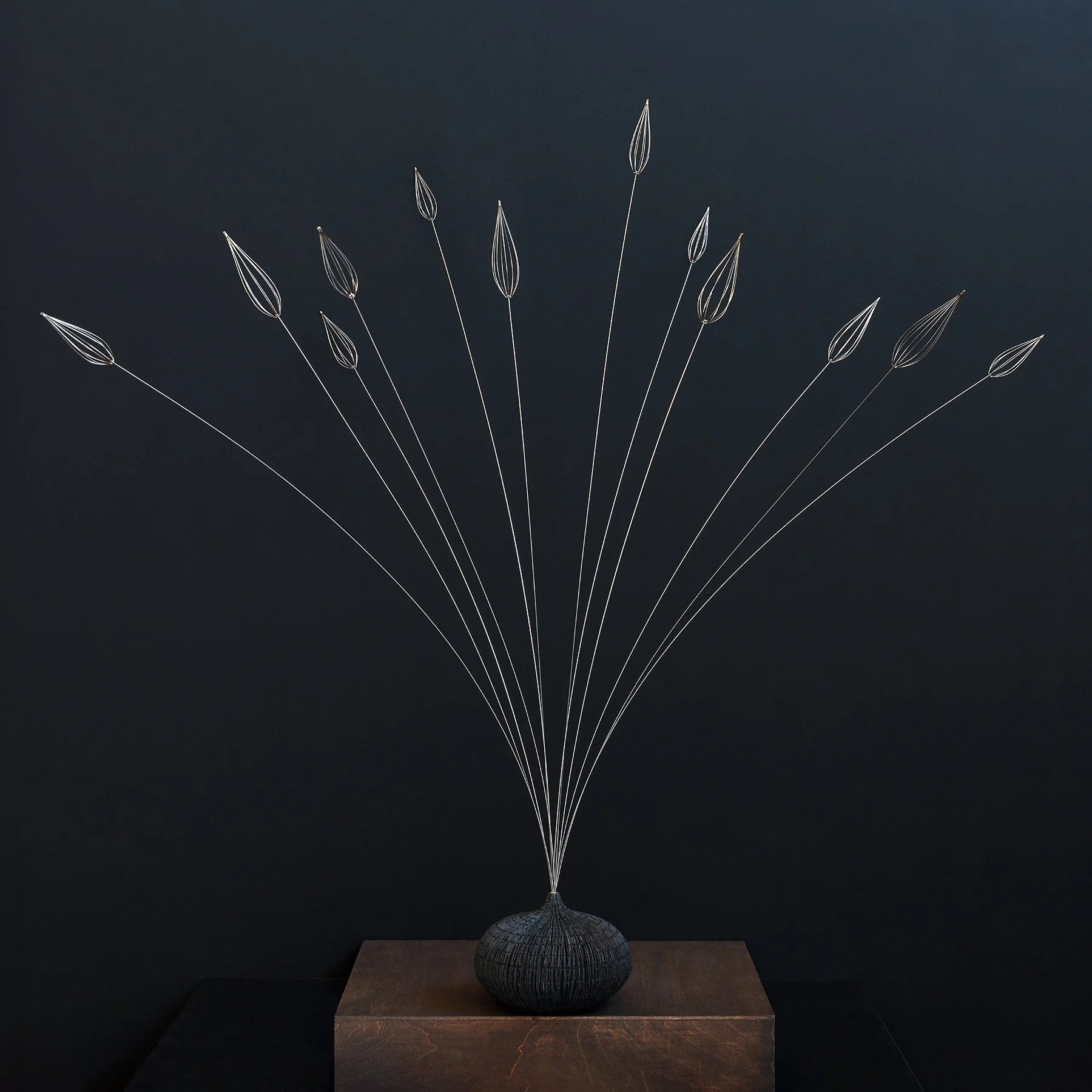 miscanthus sm sq.jpg