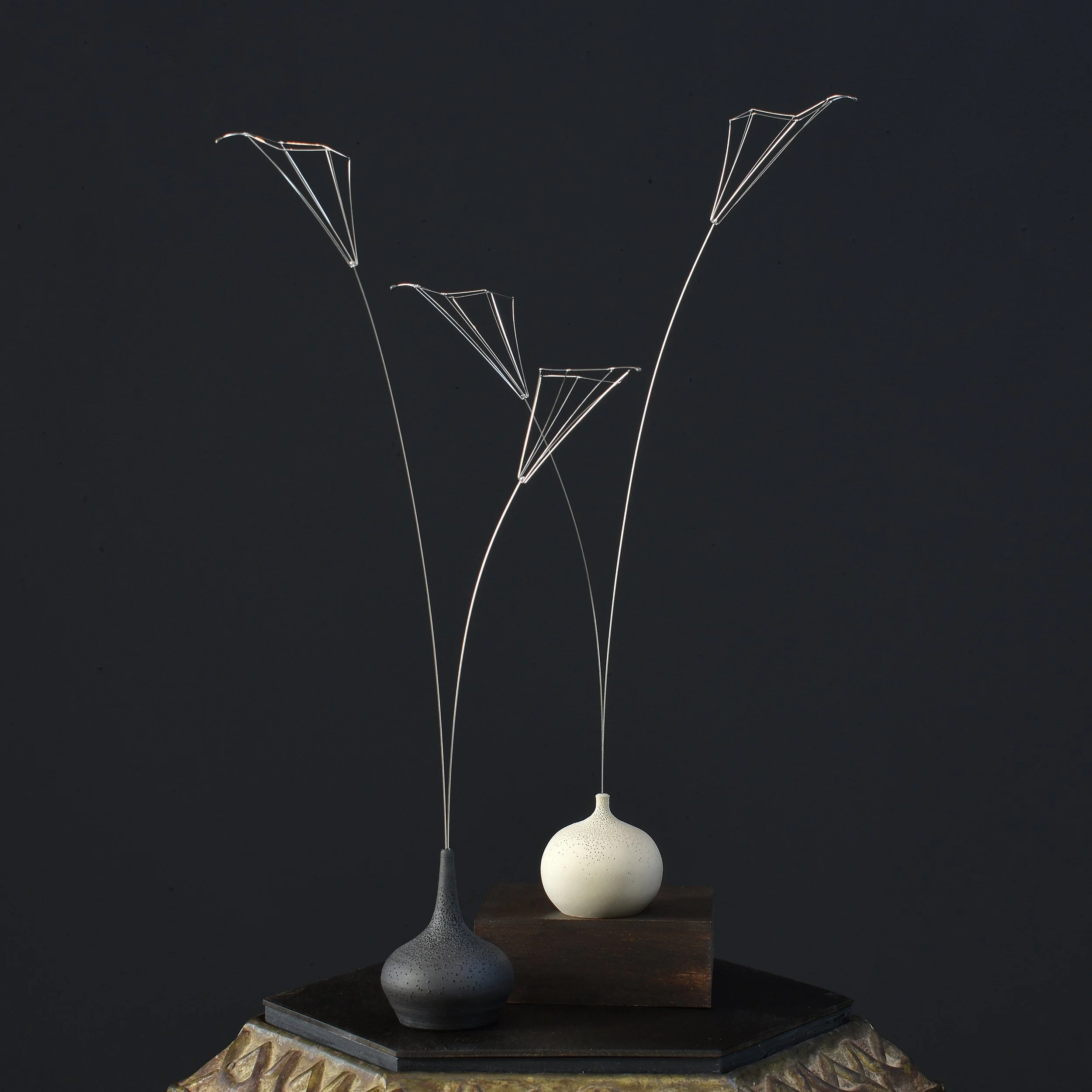 calla 1.jpg