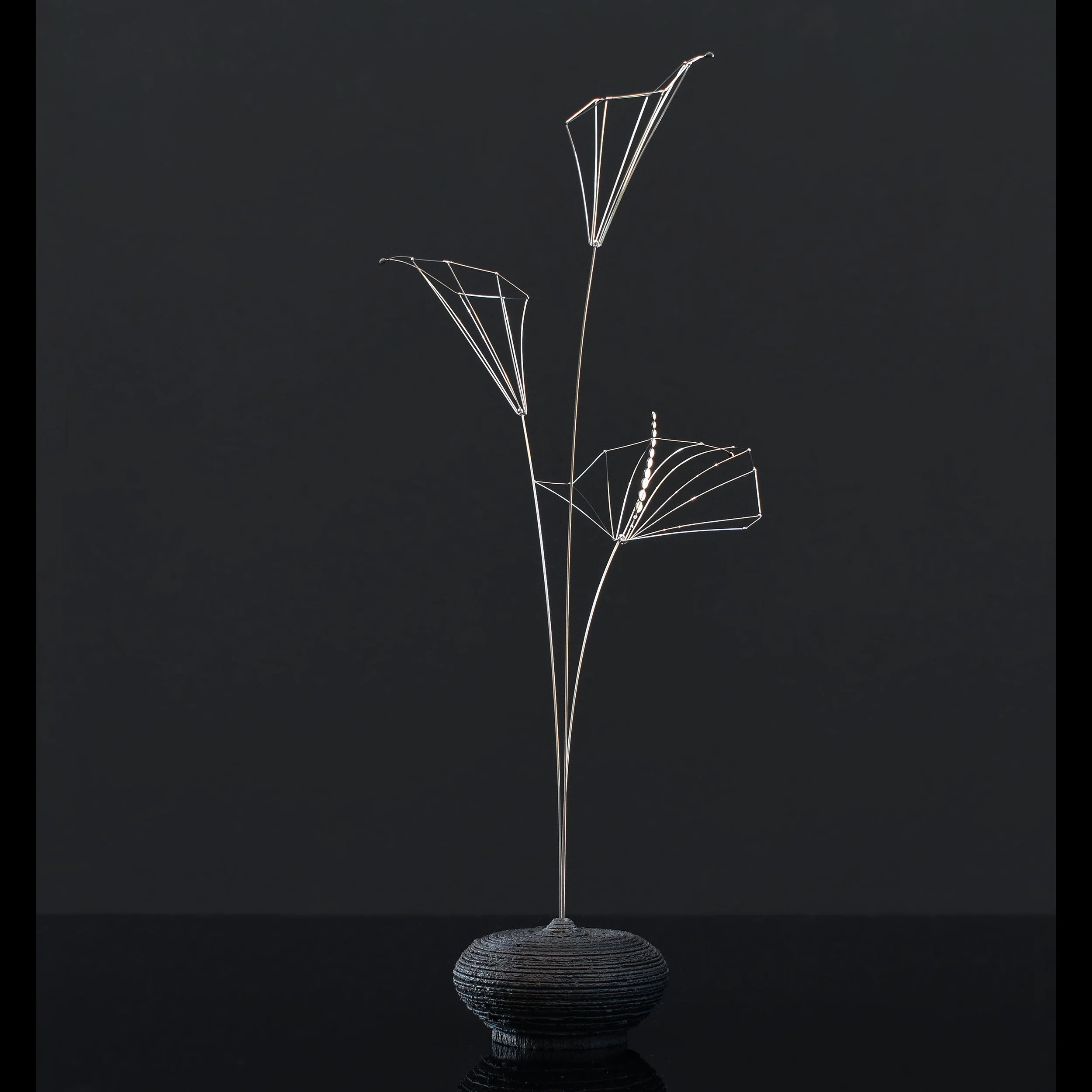 early spring calla2.1sq.jpg