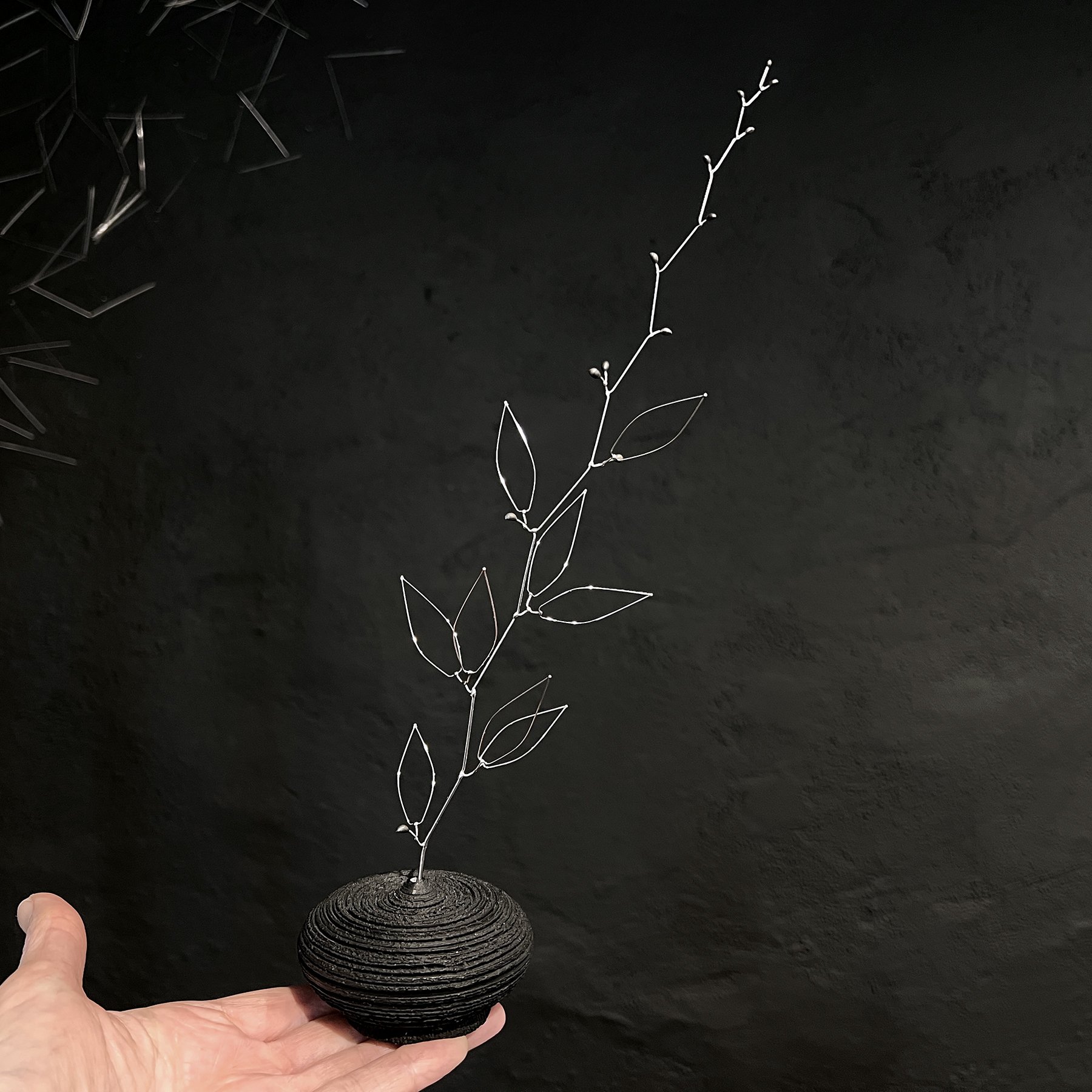 blossom brannch in hand.jpg