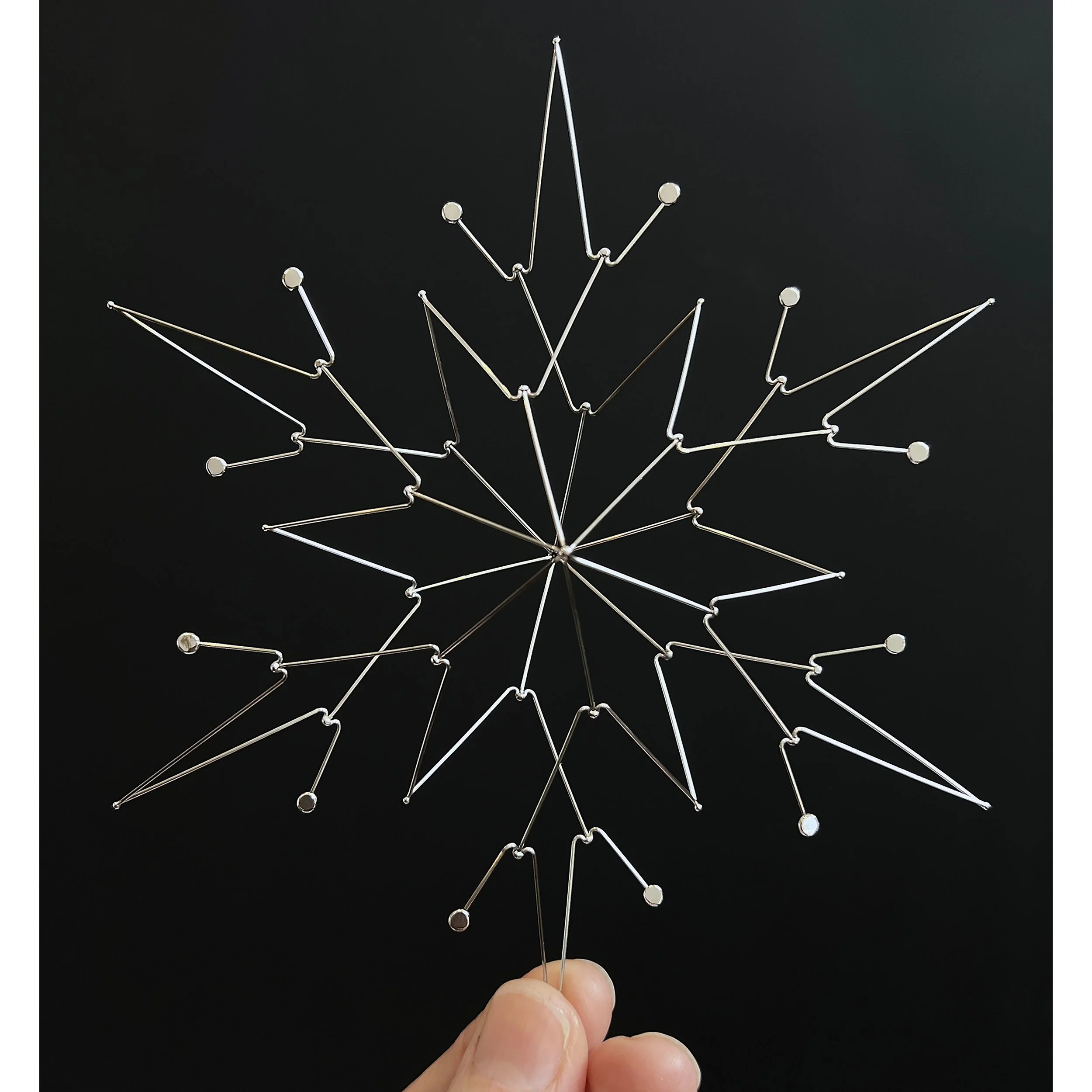 cold bloom 2025 sq white.jpg