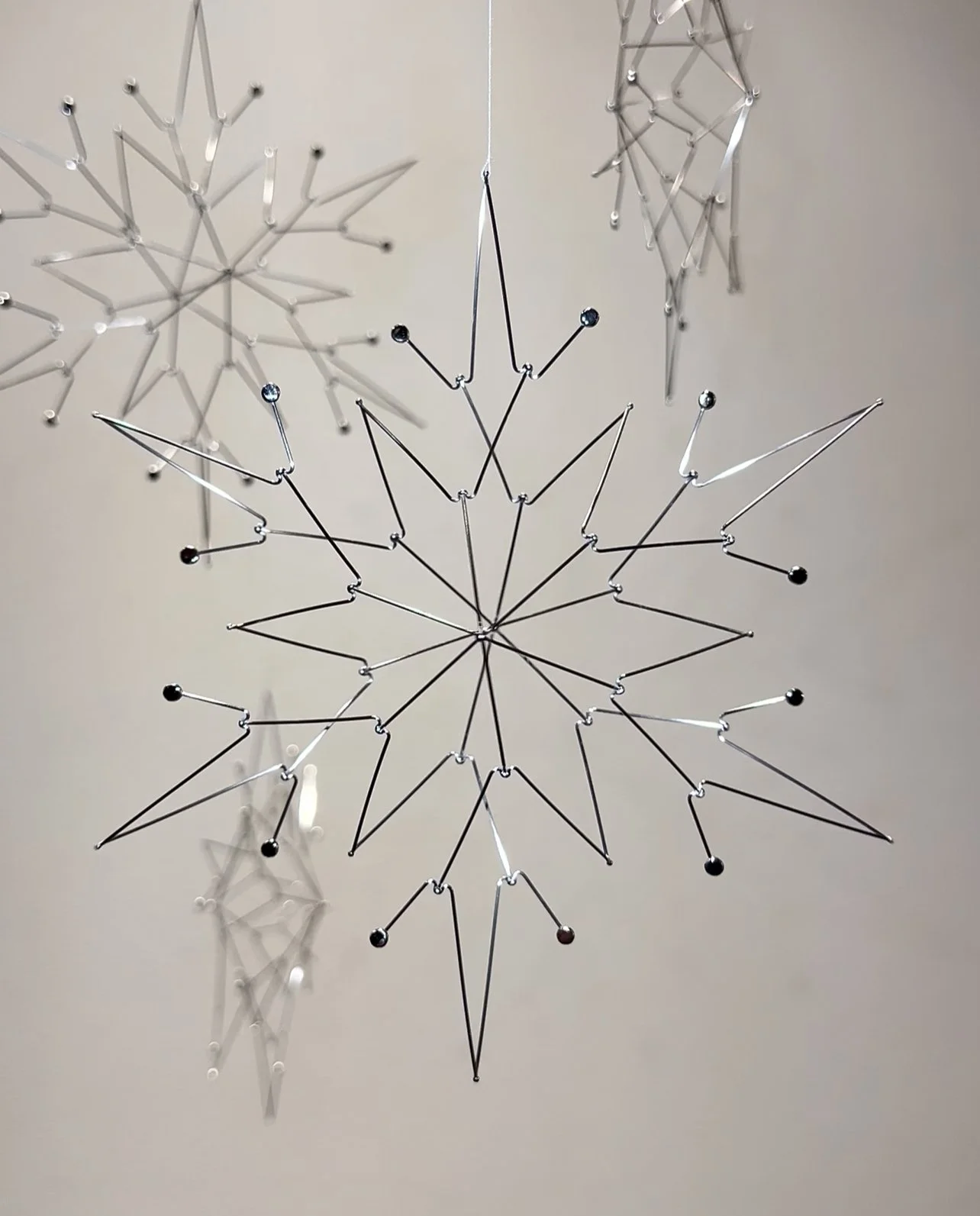 cold bloom grouping version.jpg