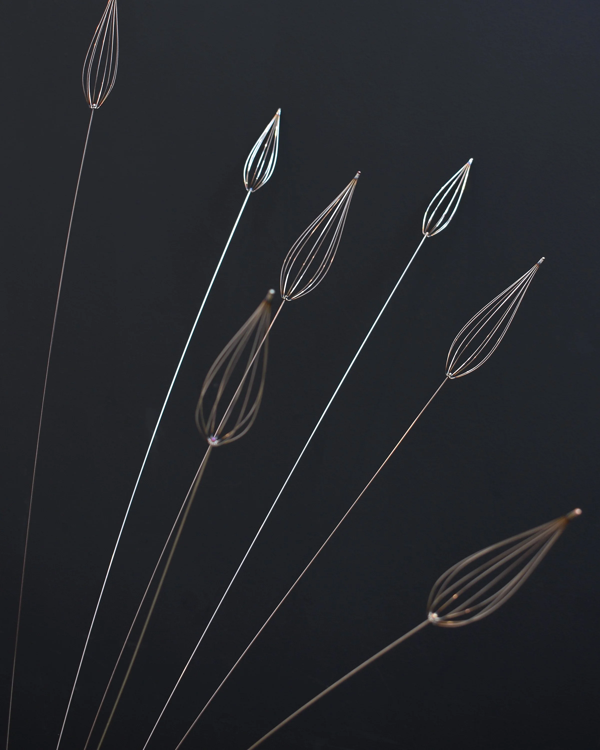 miscanthus close.jpg