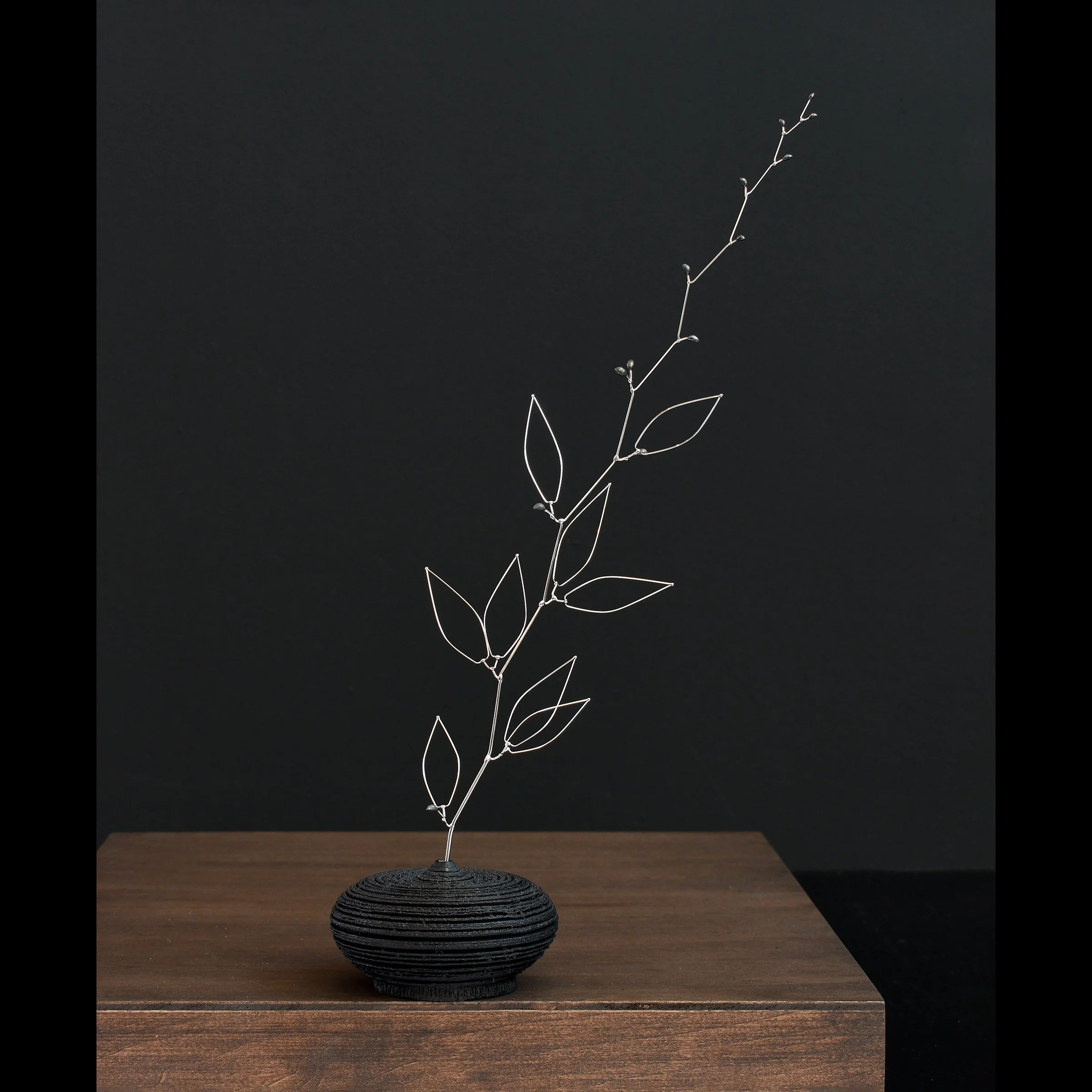 blossom branch 11:24 webstore.jpg