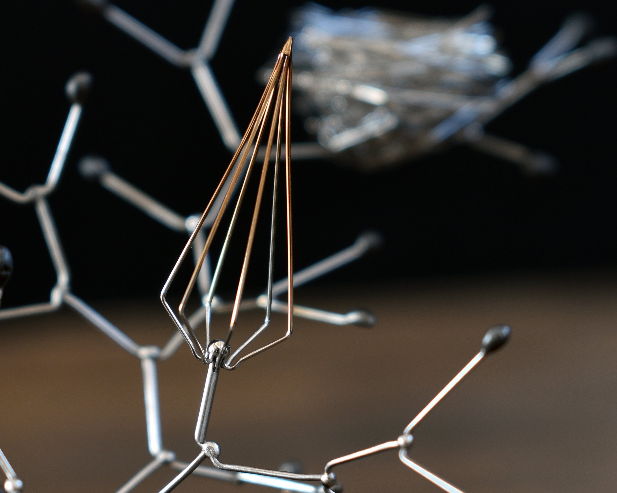 Home II thorn 54.jpg