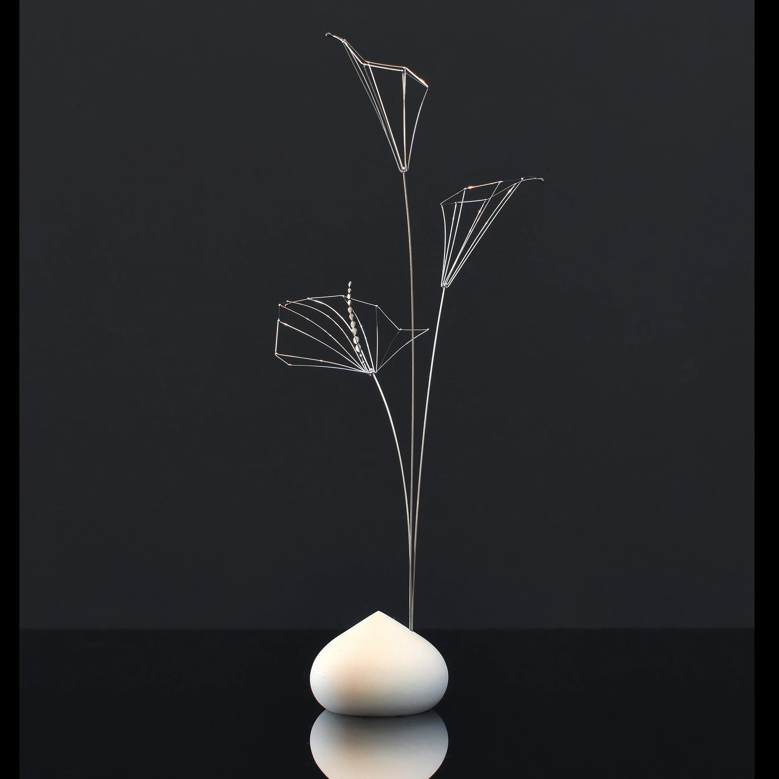 early spring calla1.1 sq.jpg