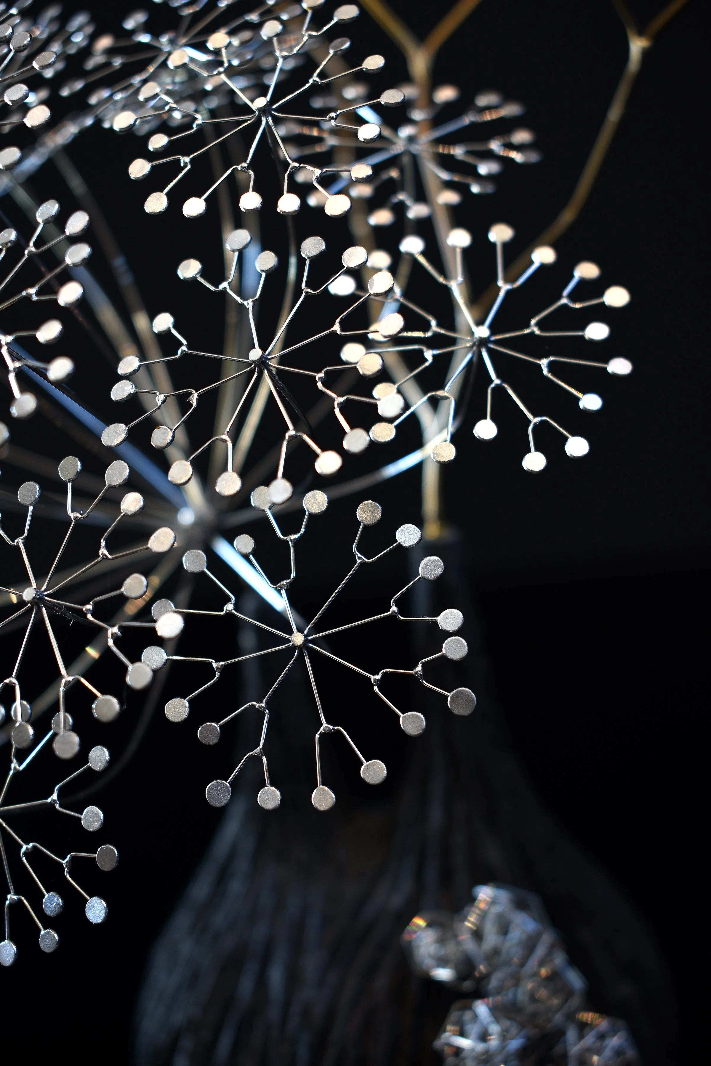 Parsnip perlage branch 3.jpg