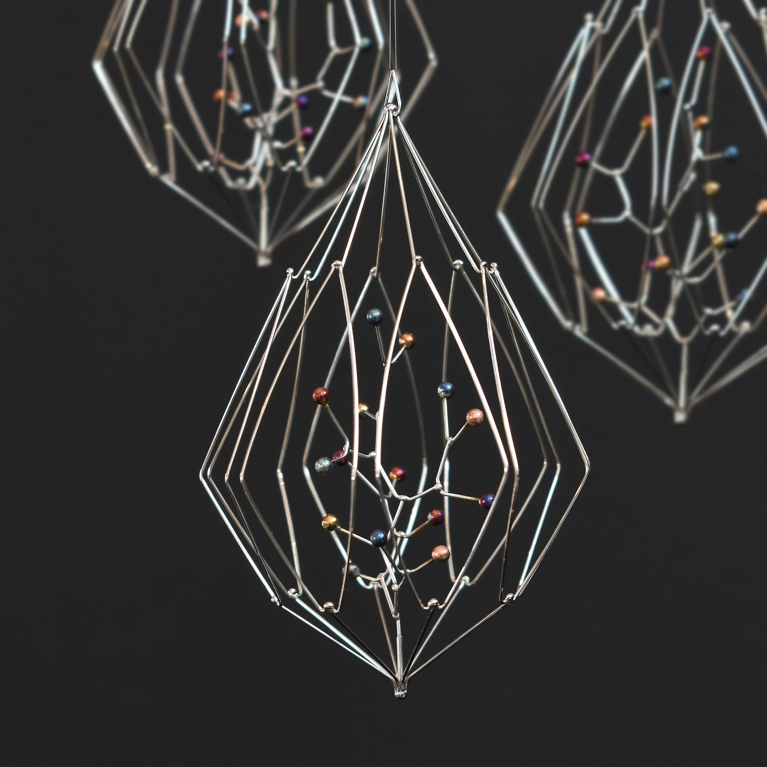 specimina physalis 3.jpg