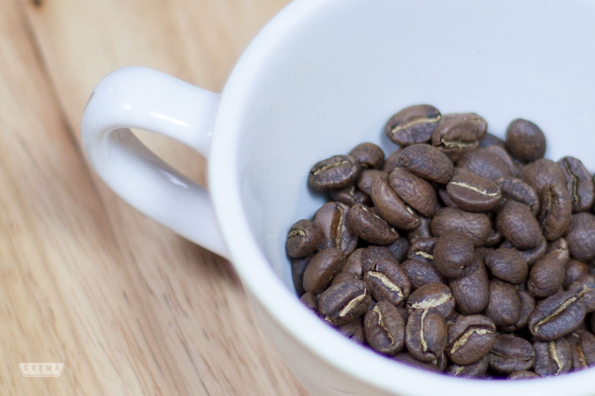Brewing_guide_kalita-03.jpg