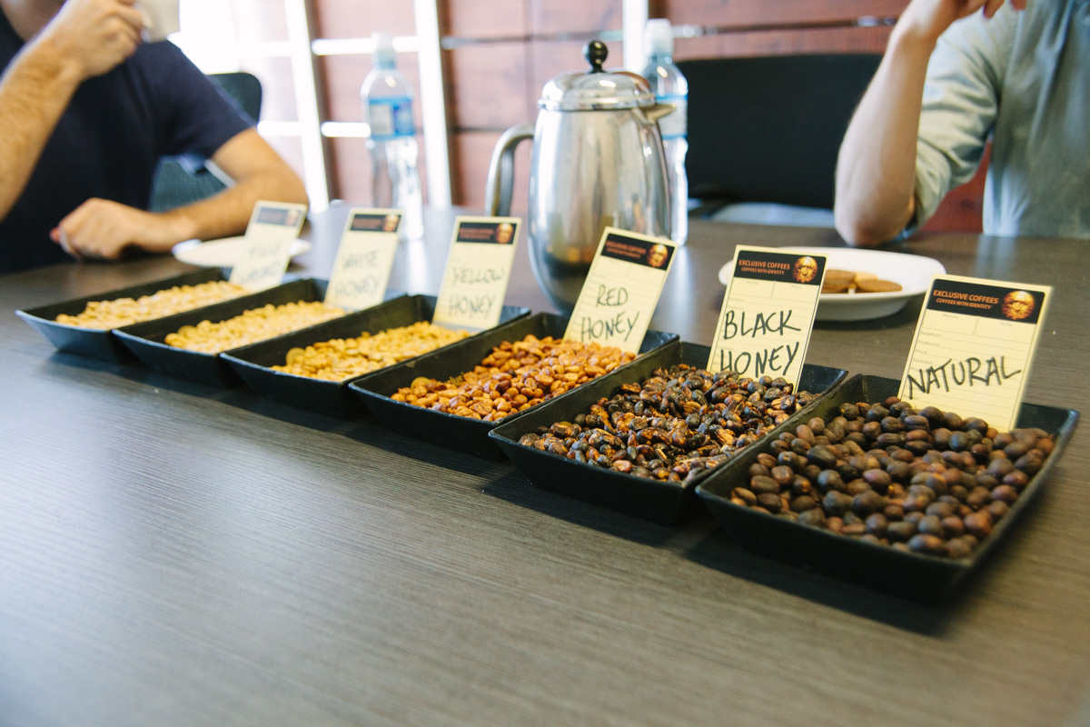 Unique to Costa Rica, varying types of semi-washed coffees are typified as full natural through "white honey." 