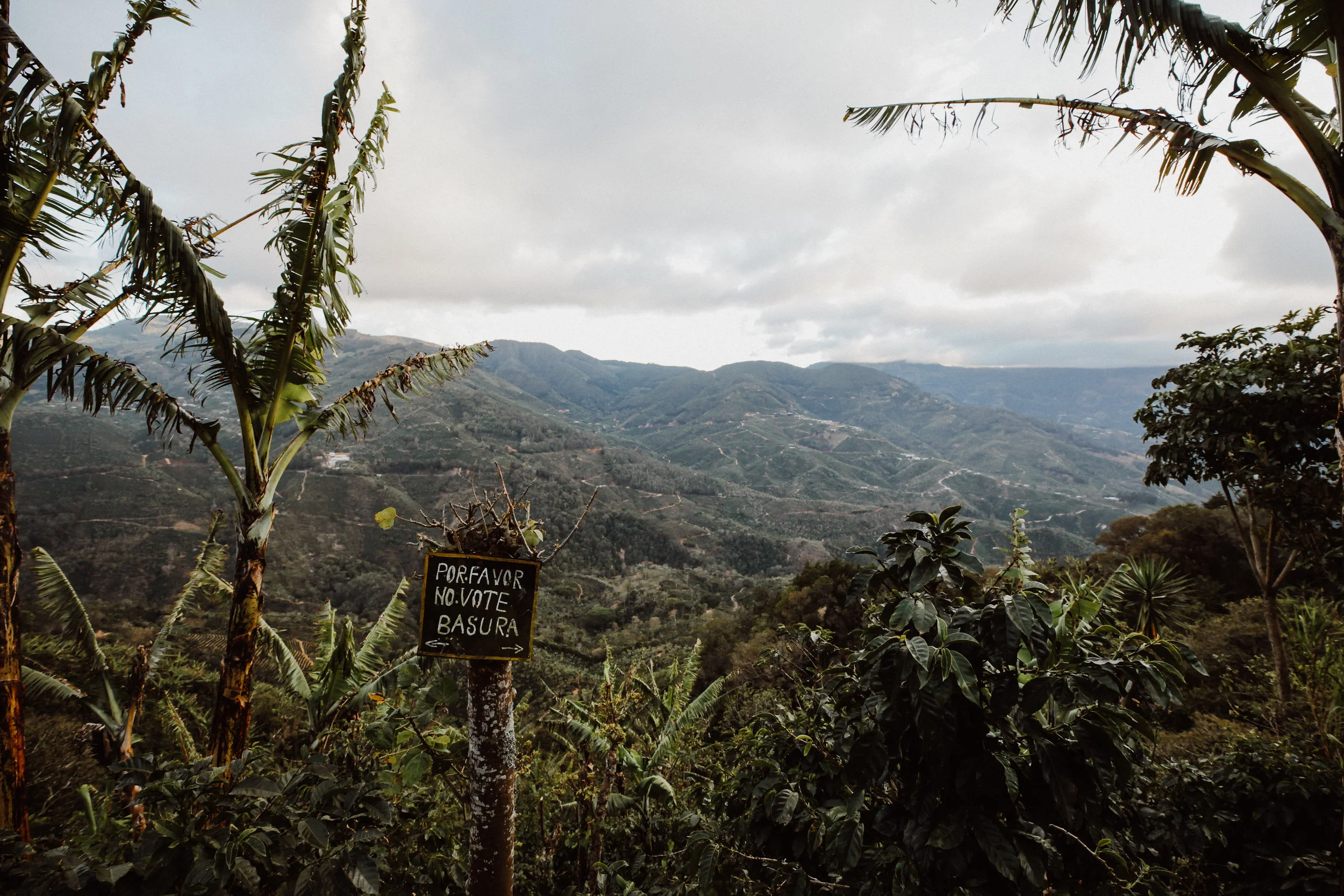 Crema-CostaRica-08.jpg