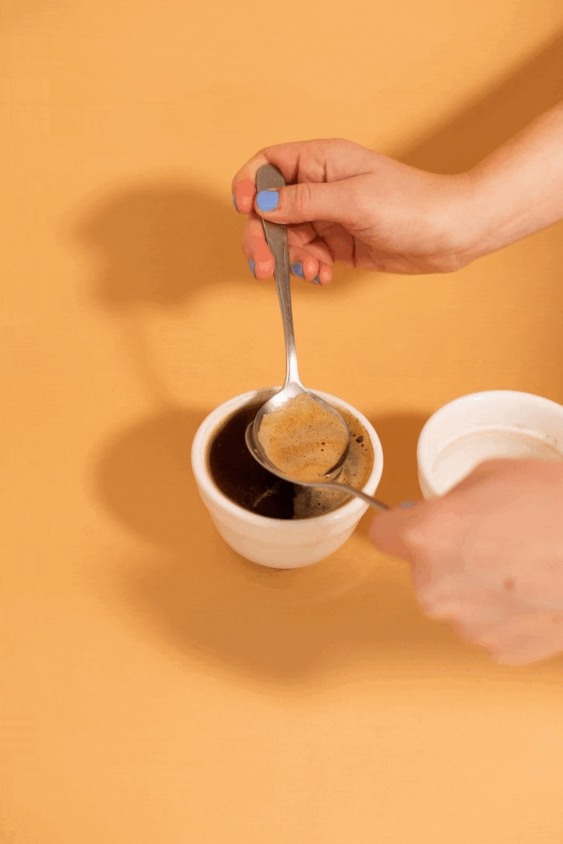 Brewing Guide Coffee Cupping — Crema Coffee Roasters