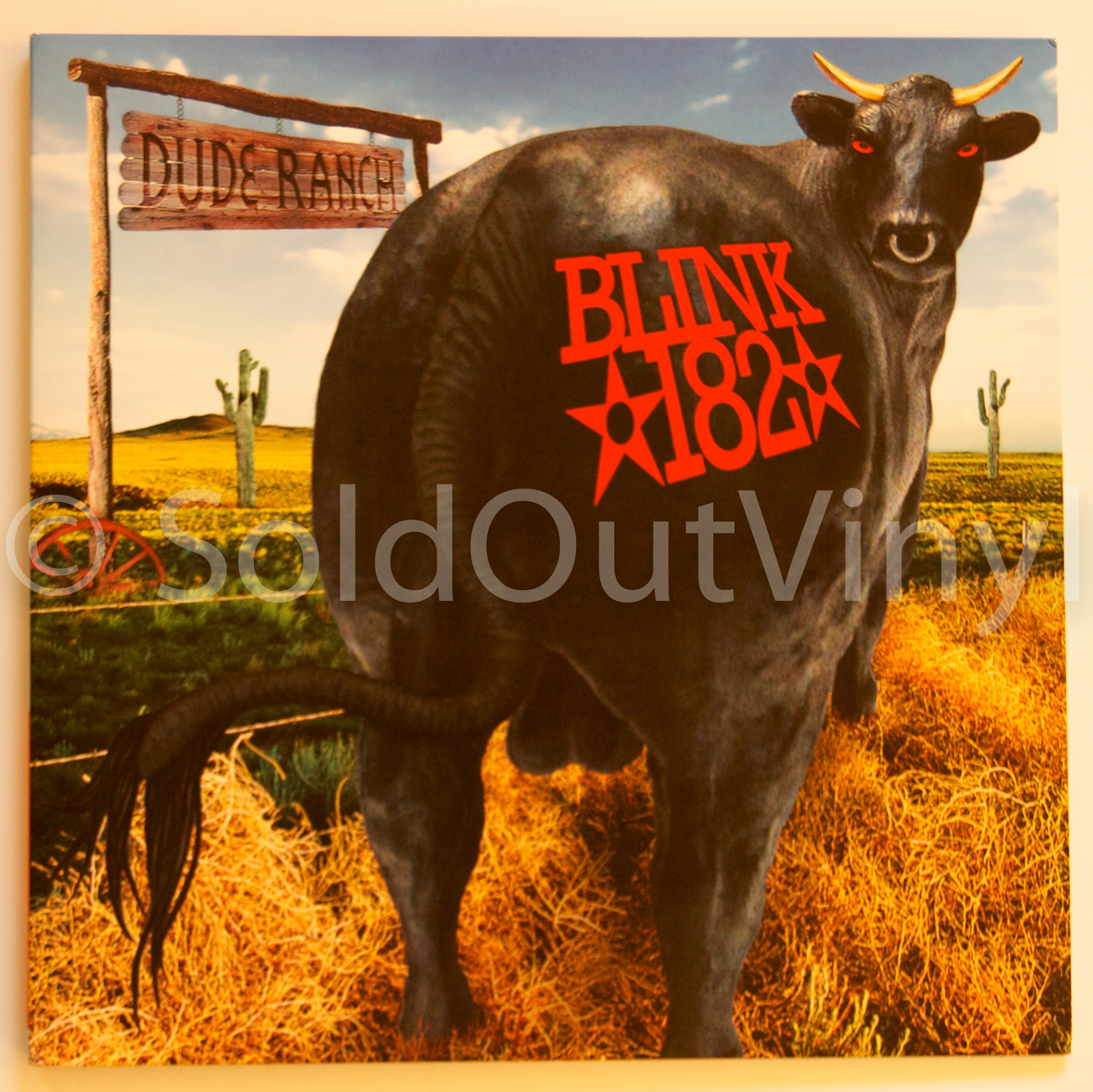 SoldOutVinyl.com-1536.jpg