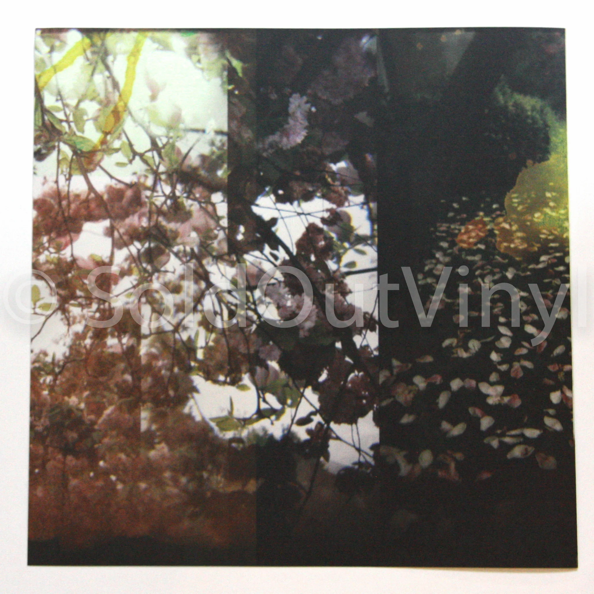 SoldOutVinyl.com-2340.jpg