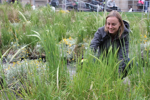 Linda Tegg preparing Grasslands