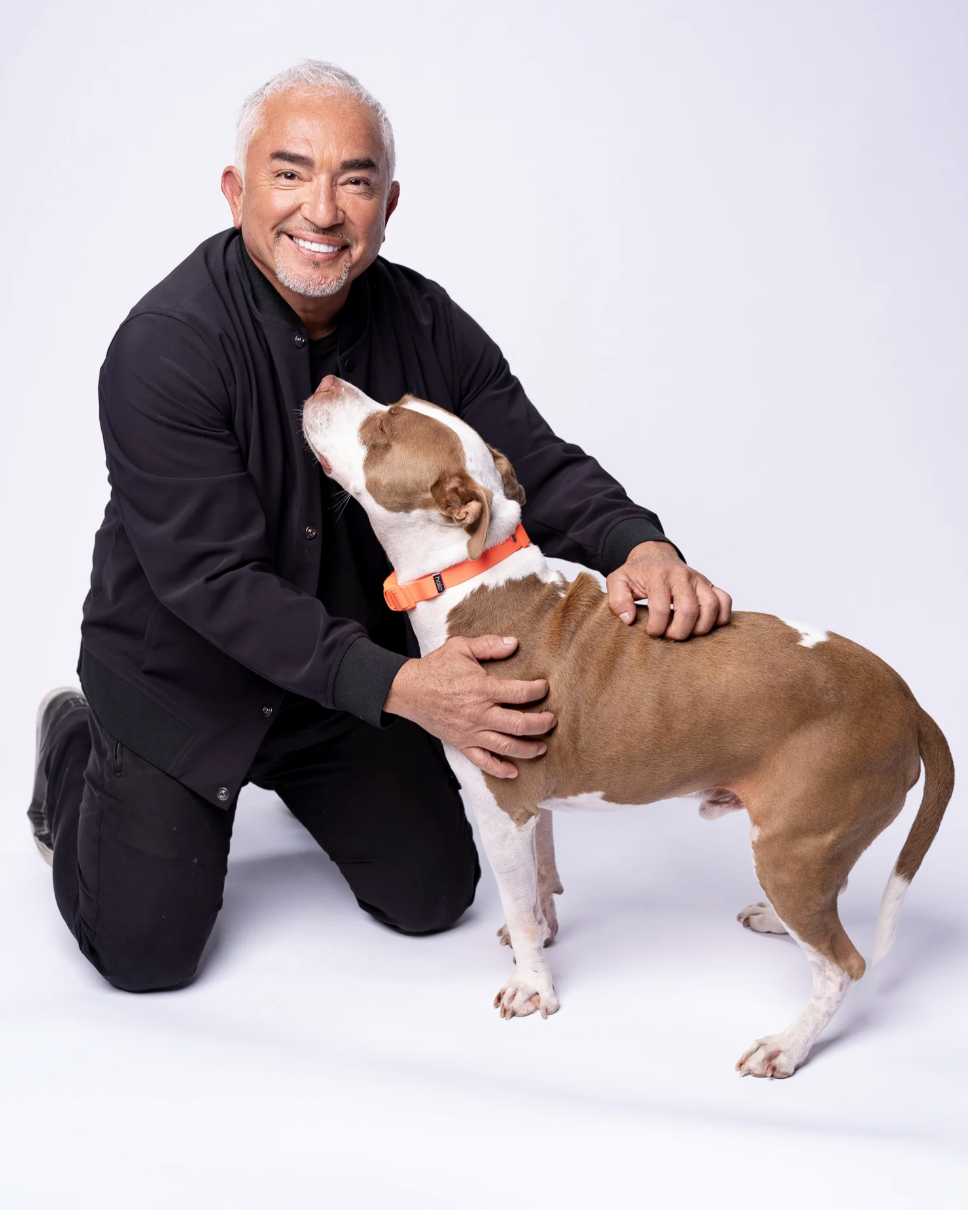 Cesar Millan_2025.png